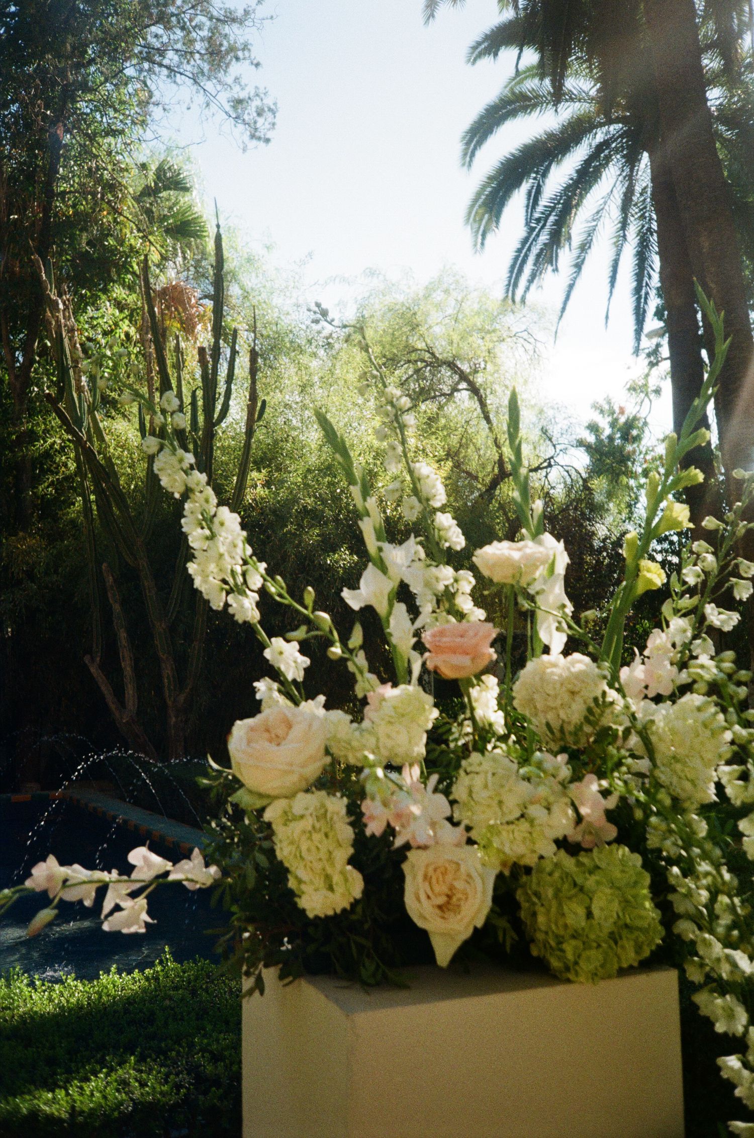 Elegant white floral arrangements with roses and orchids displayed against a tropical palm tree backdrop.