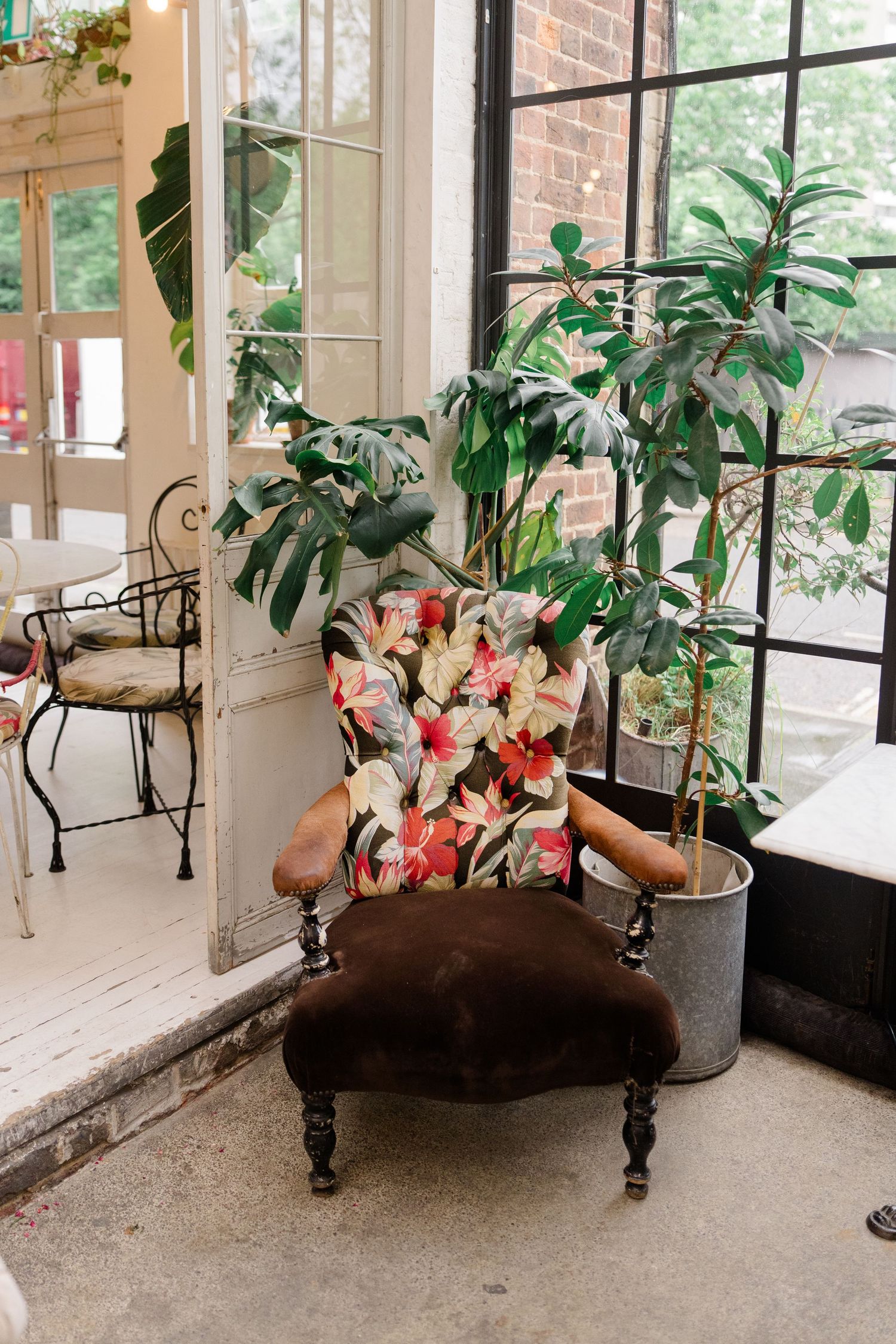 Vintage floral armchair beside large monstera plant in bright sunlit room with black-framed glass doors.