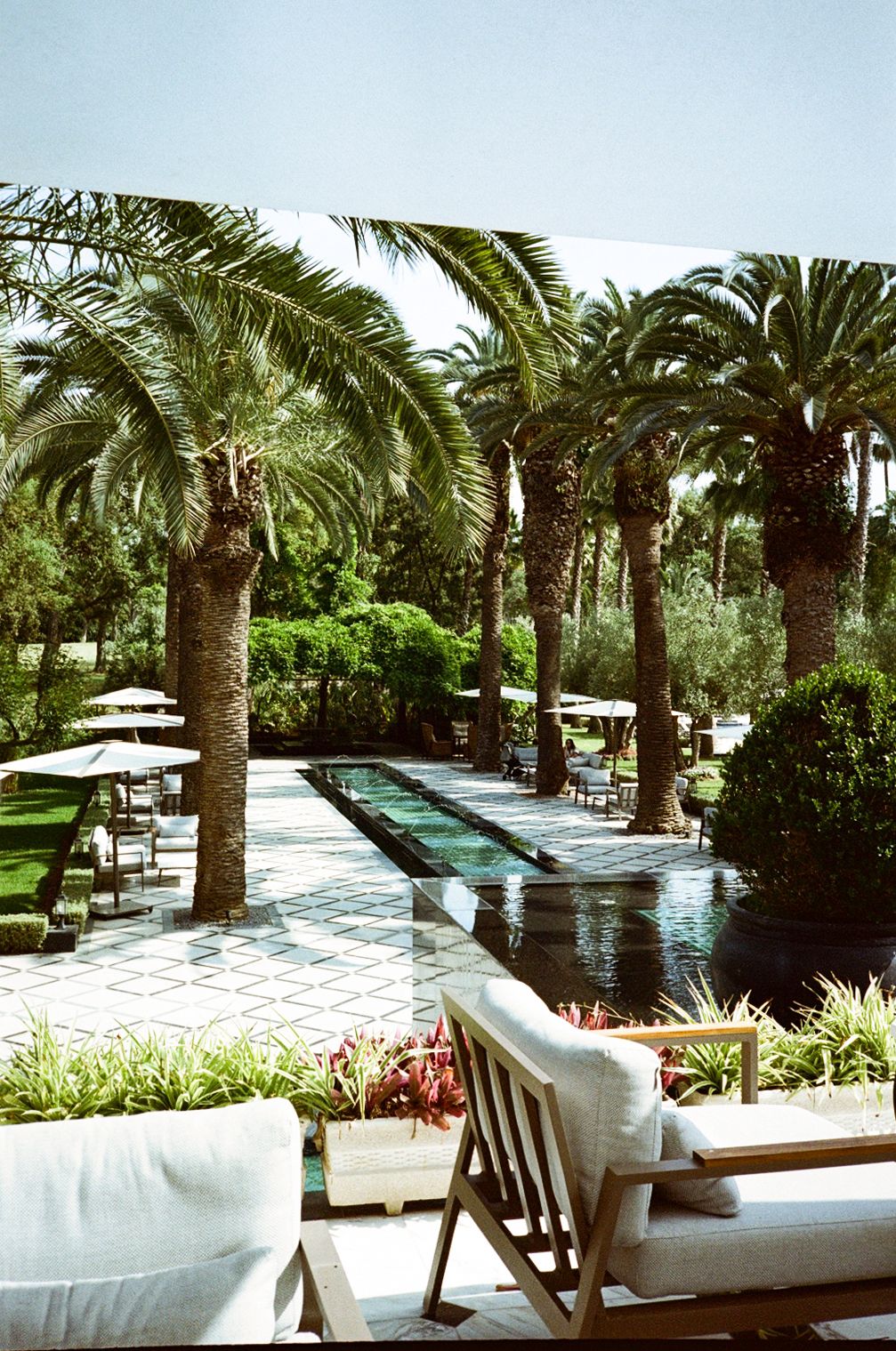 Luxury resort patio with palm trees, reflective pool, white lounge chairs, and lush tropical gardens on a sunny day.
