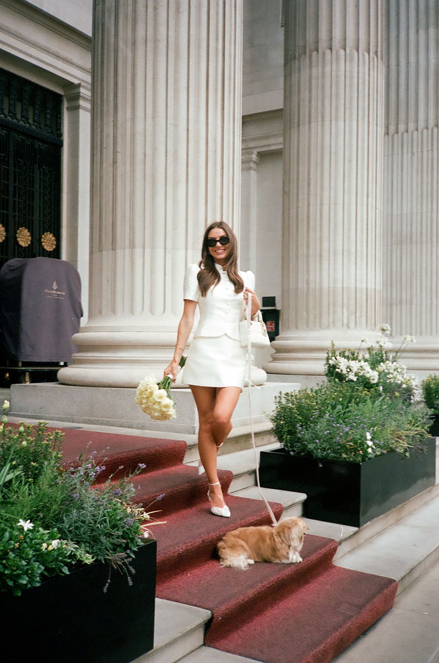 Woman in white mini dress holding flowers walks down red steps with a corgi dog outside a neoclassical building.