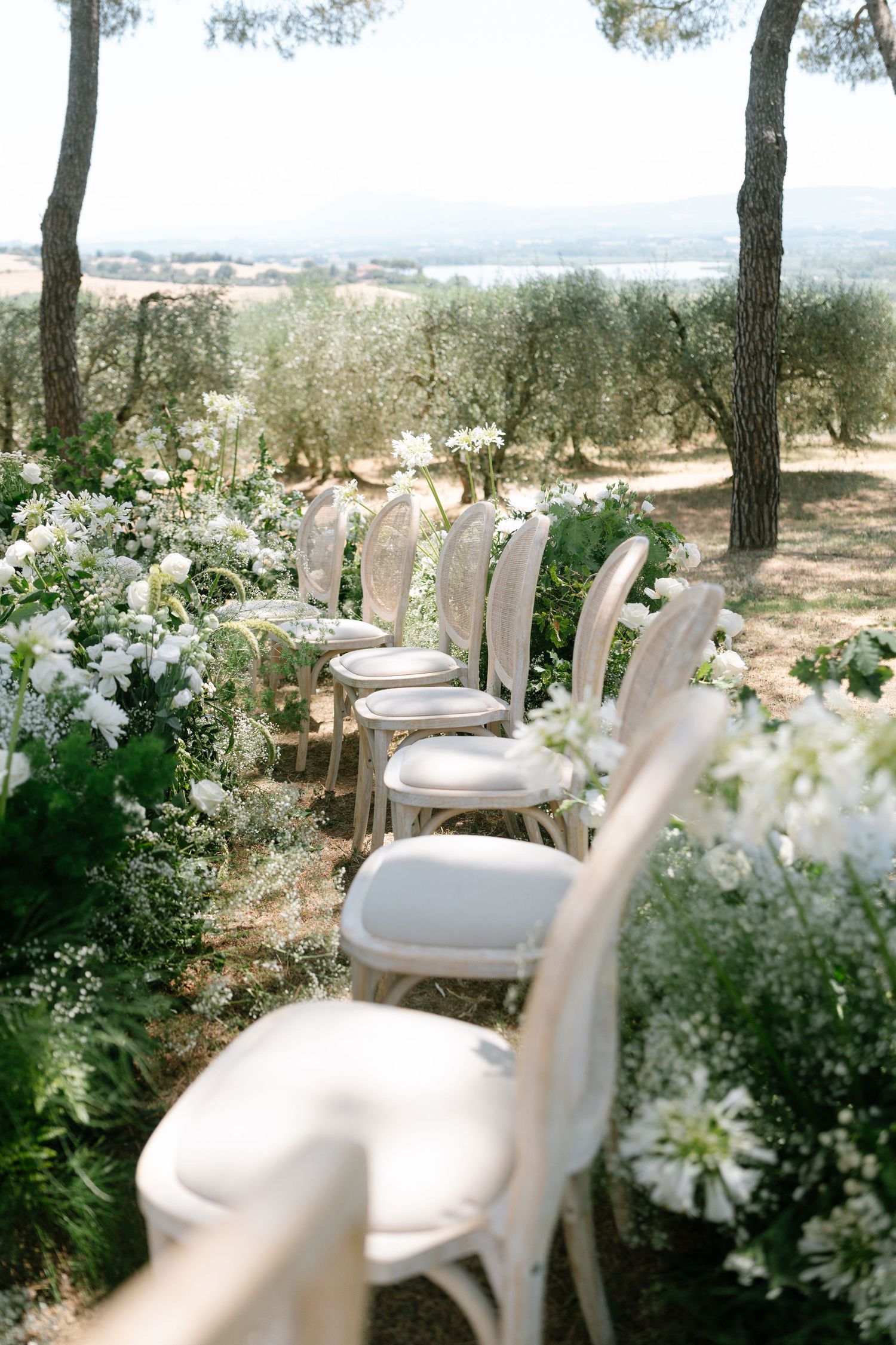 White chairs and floral arrangements set up for outdoor wedding ceremony among olive trees.
