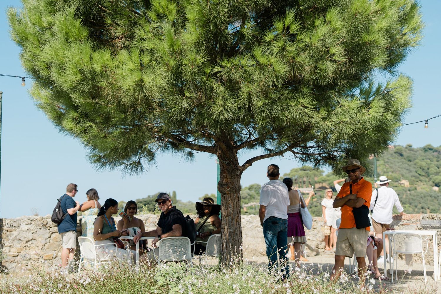 Wedding guests gather under a pine tree in a rustic Mediterranean outdoor setting.