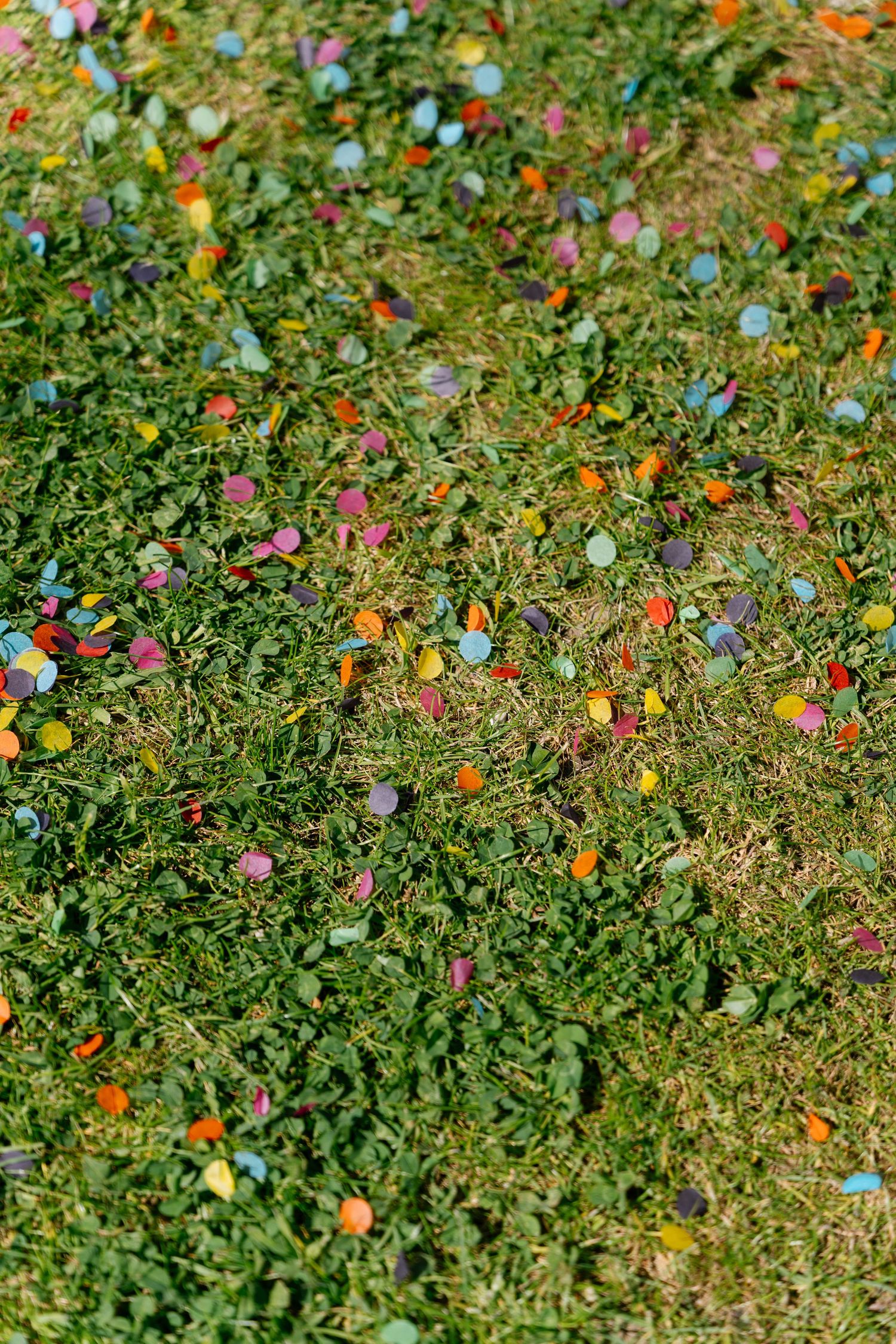 Colorful confetti scattered across green grass creates a festive wedding scene.