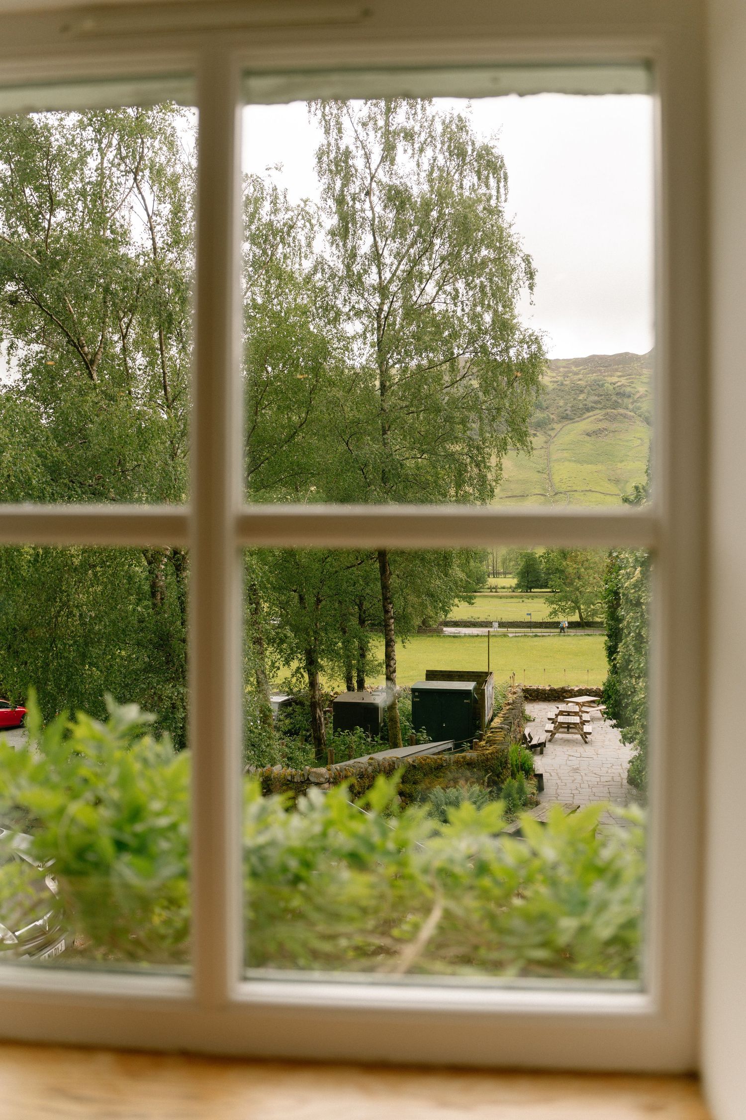 Scenic countryside view through a window showing green trees and rolling hills in the distance.