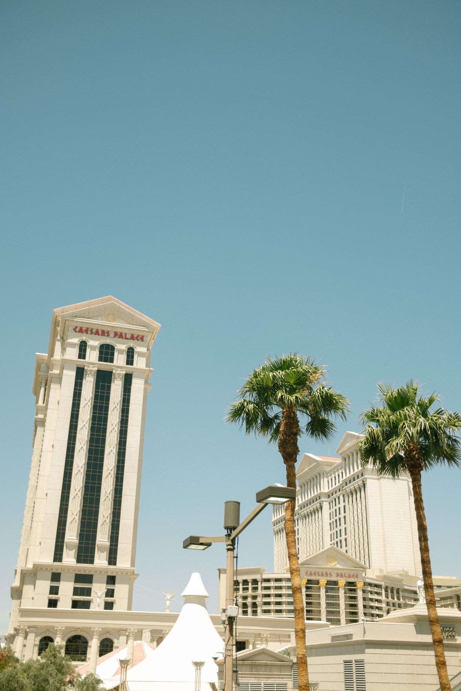 Palm trees frame the elegant tower architecture of Caesars Palace Las Vegas.