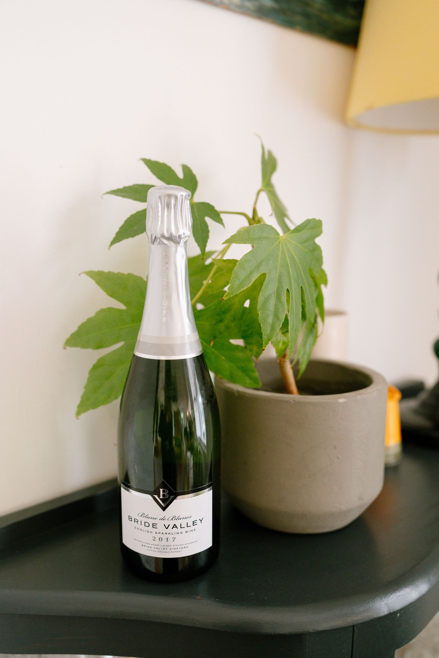 Bottle of Bride Valley sparkling wine next to a potted plant on dark table.