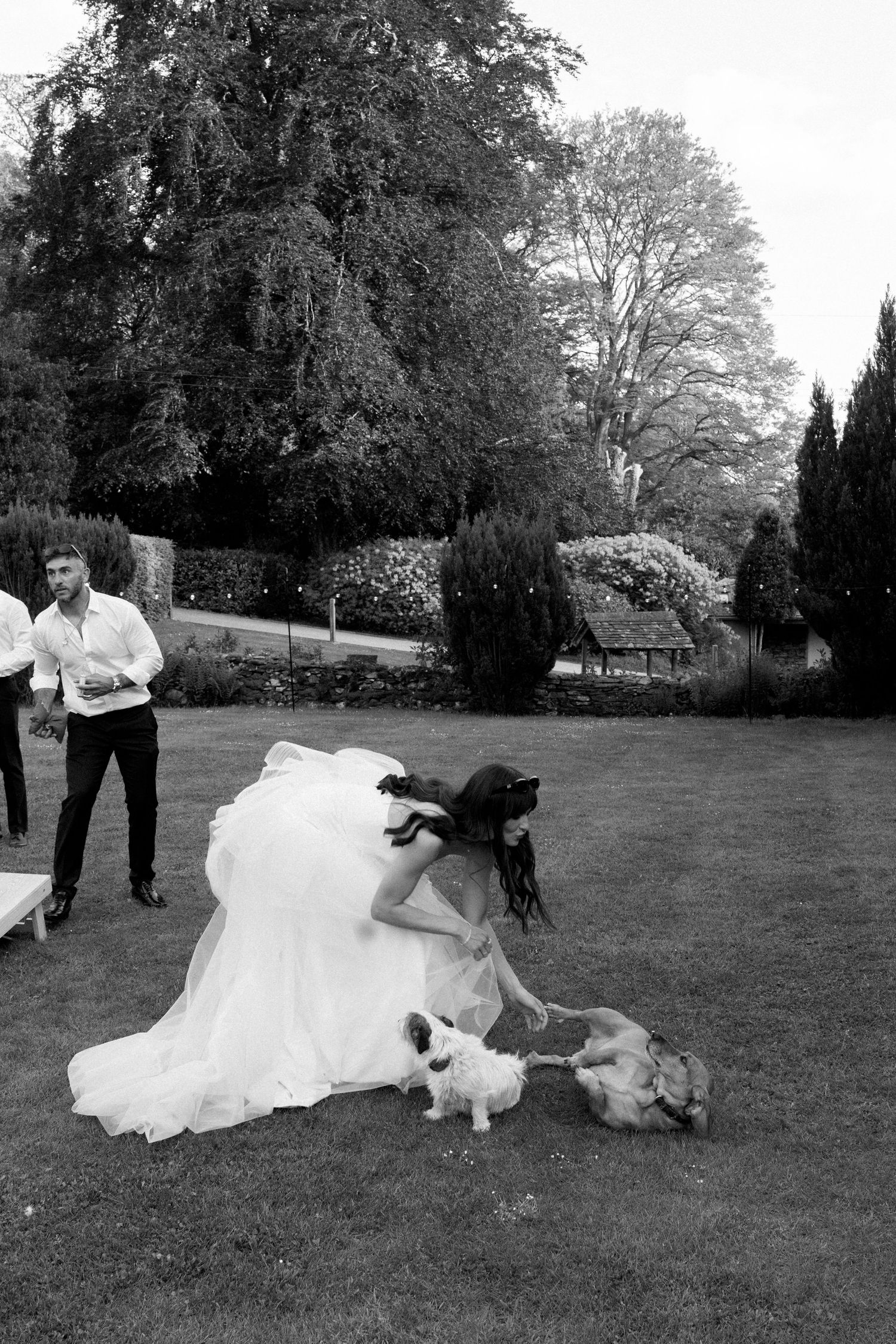 Wedding party members and dogs relax on grass during outdoor photo session.