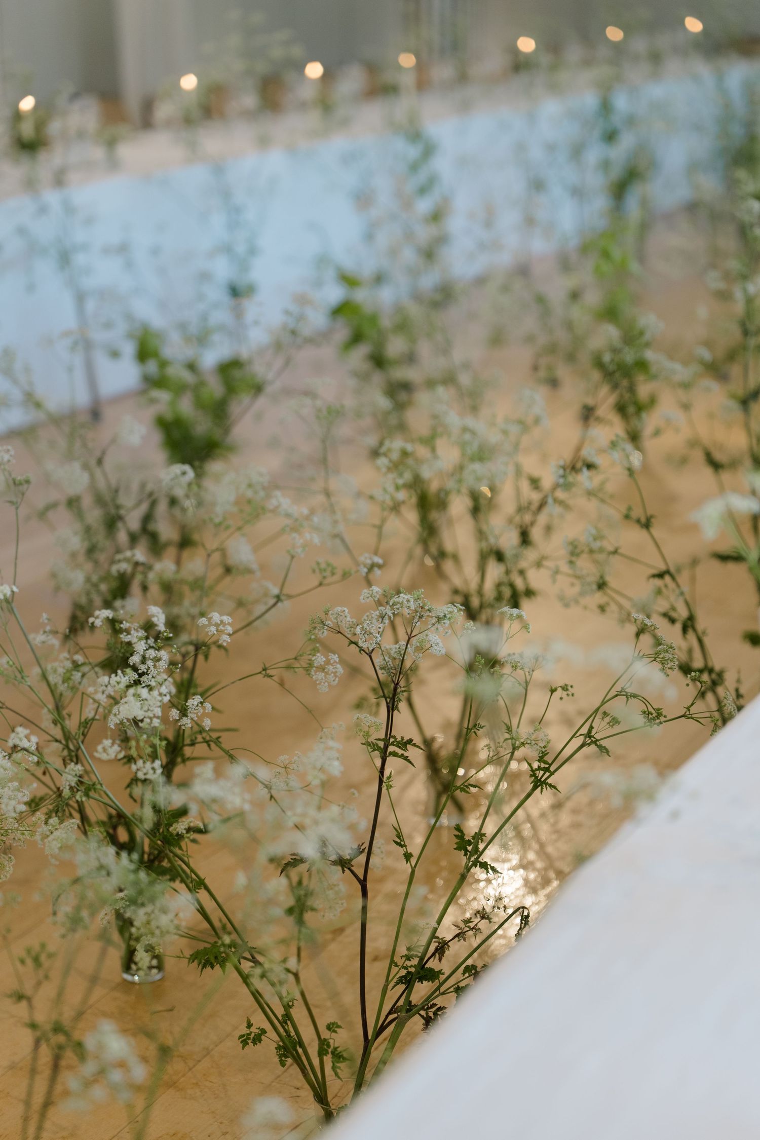 Delicate white wildflowers arranged as table centerpieces in elegant wedding reception marquee.
