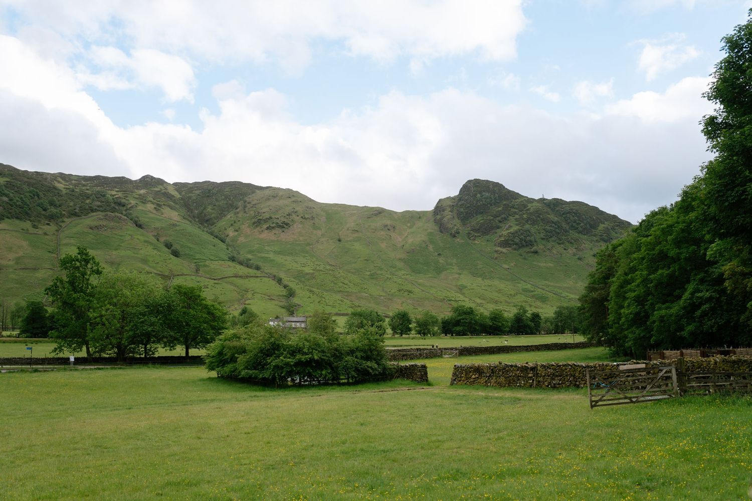 Panoramic view of rolling green hills and mountains under cloudy skies in a rural landscape.