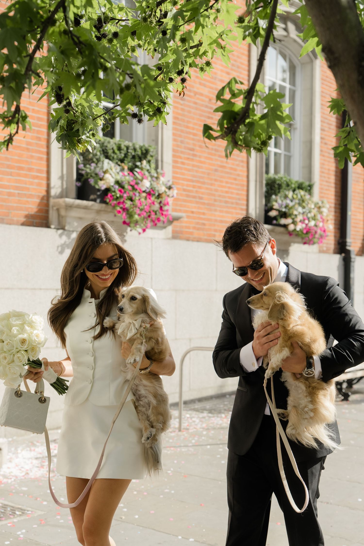 Newlyweds in wedding attire hold fluffy dogs outside brick building with colorful flower boxes.