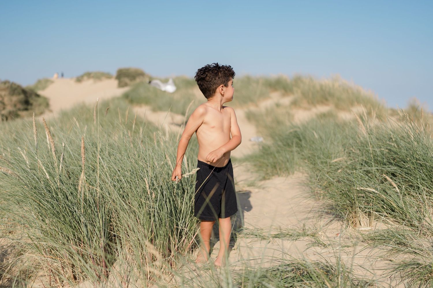 Beach scene with sand dunes and tall grass under bright blue sky.