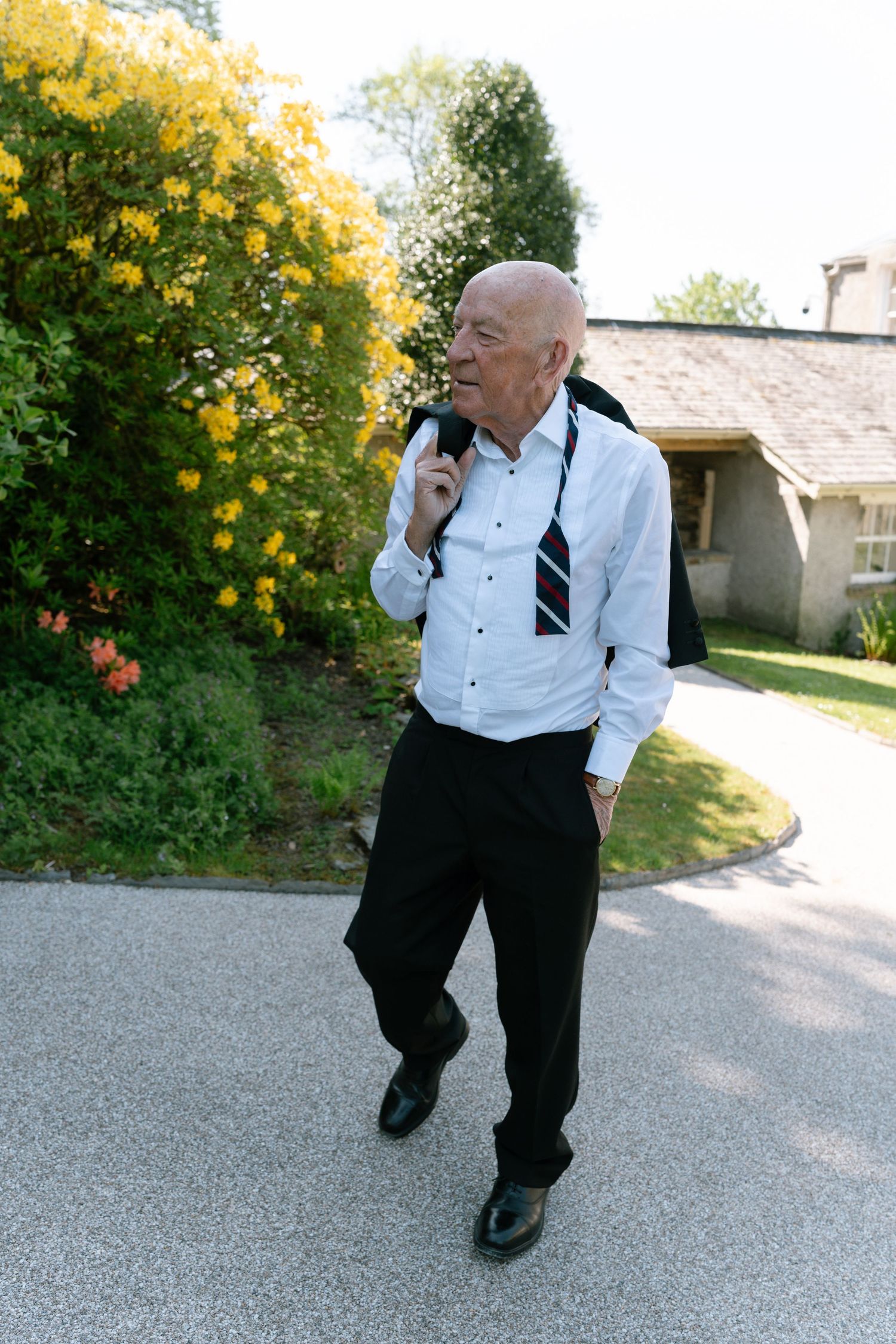 Person in formal attire walking on gravel path near yellow flowering bushes.