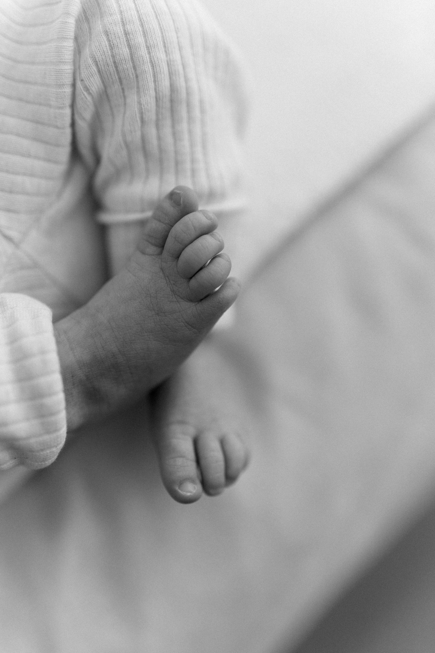 Close-up black and white images of tiny infant feet in soft white fabric.