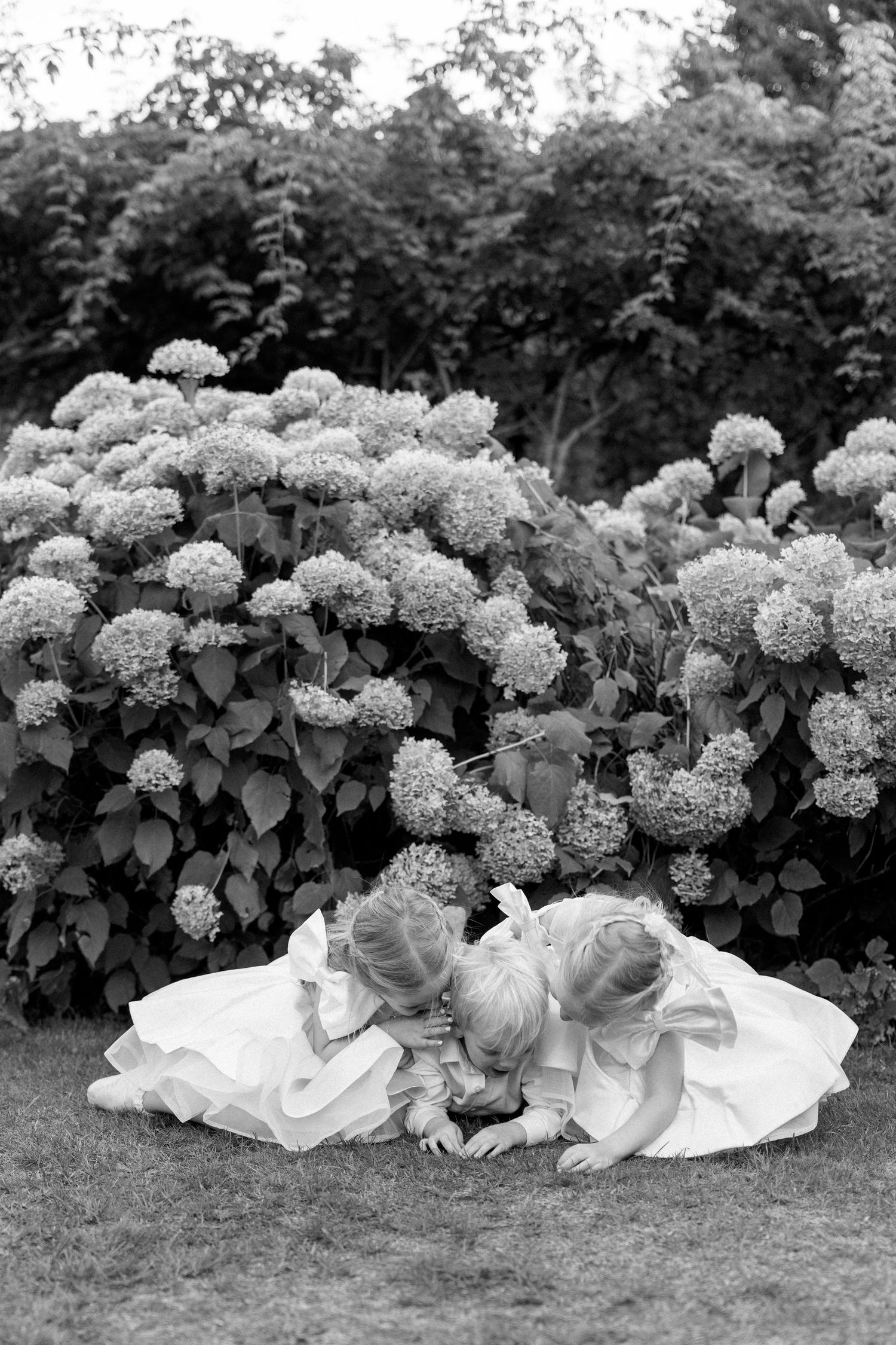 Black and white photo of people sitting by flowering hydrangea bushes.