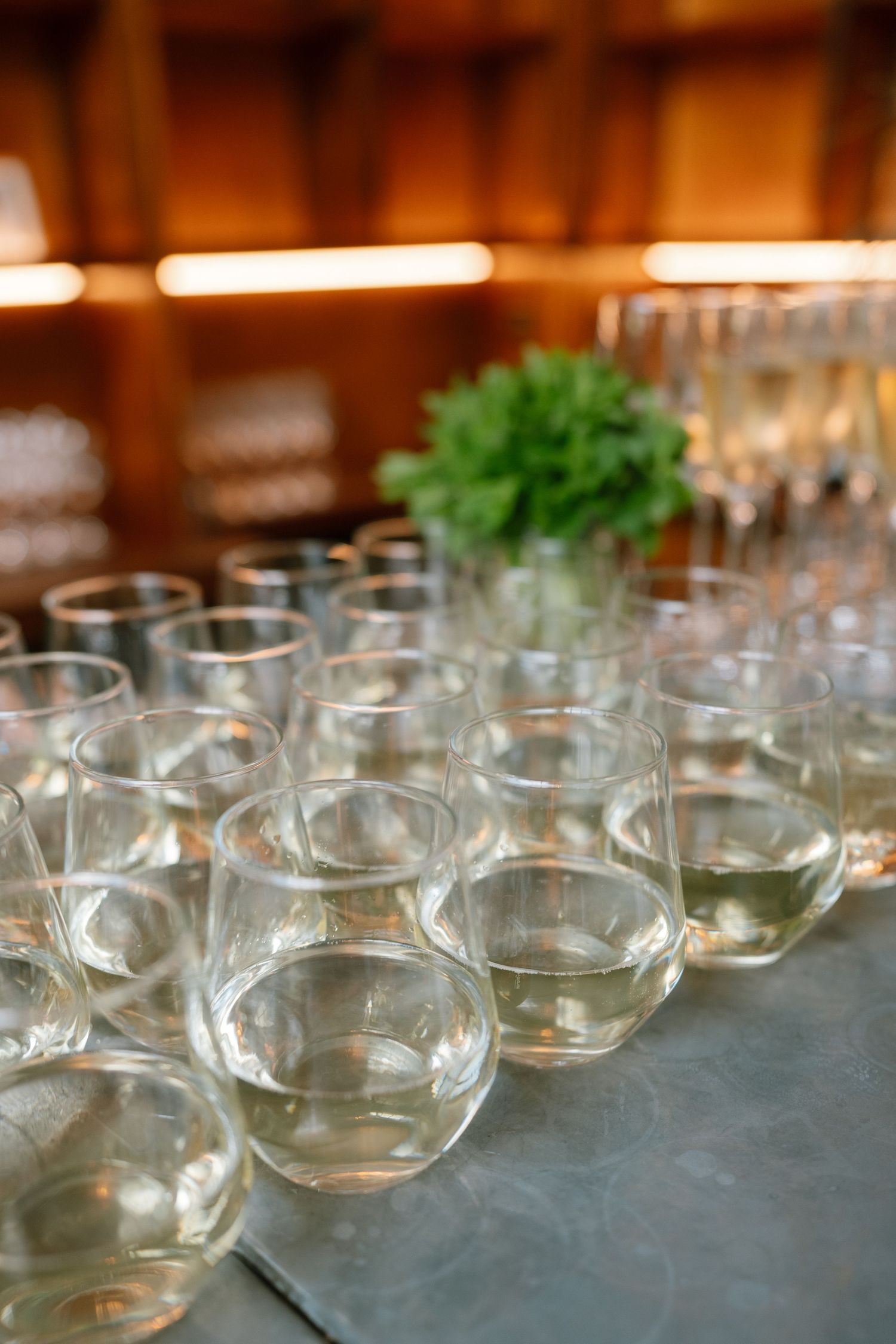 Rows of empty glass bowls arranged on a dark surface.