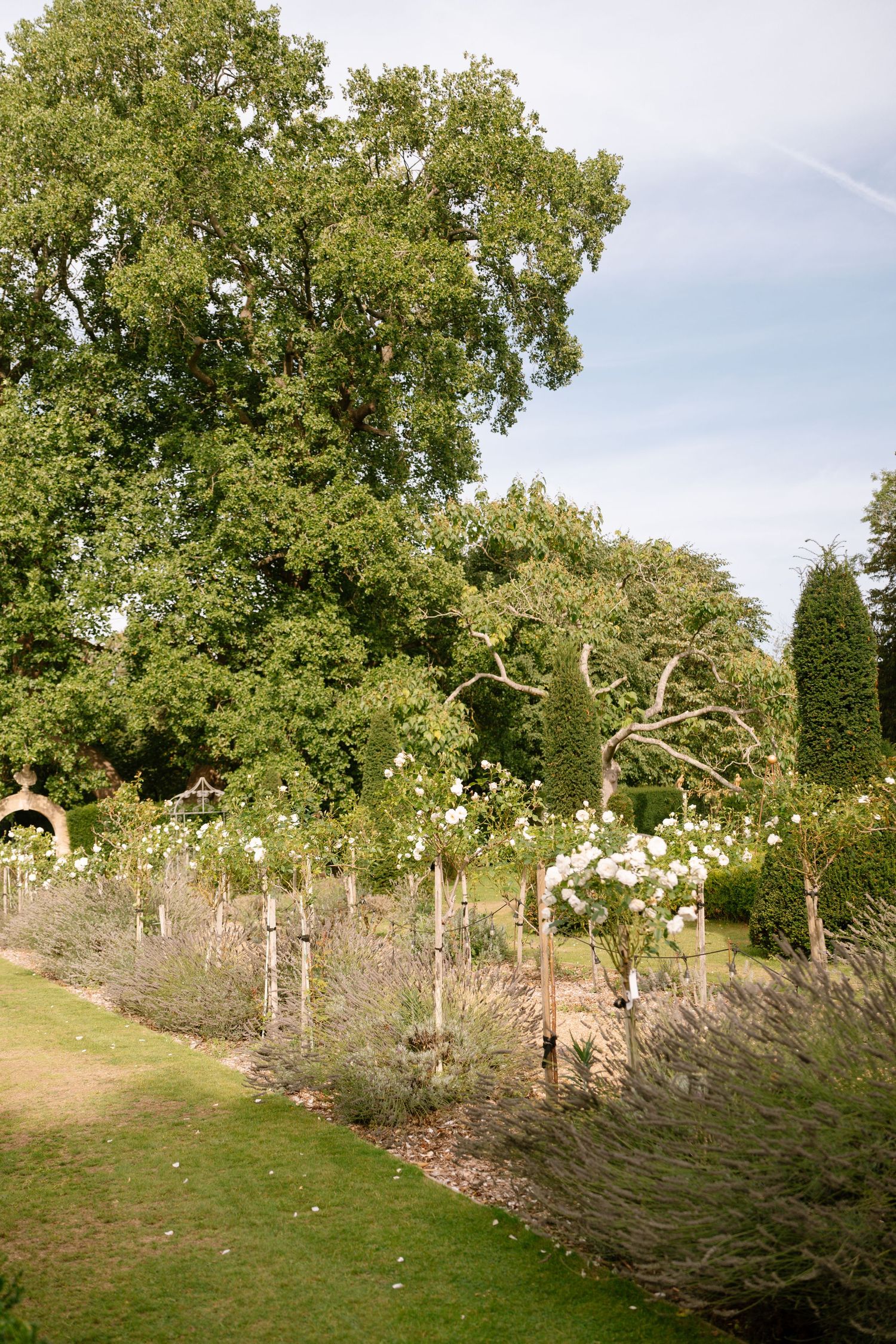 Row of flowering plants and trees along a garden path creating a natural border.
