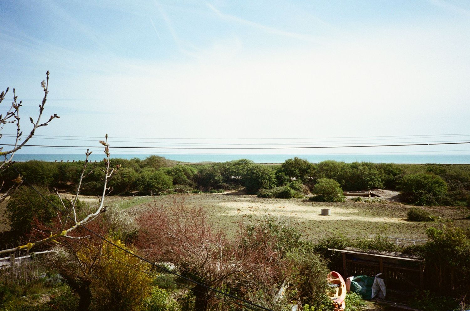 Scenic coastal landscape with lush green shrubs, open field, and ocean horizon under a clear blue sky.