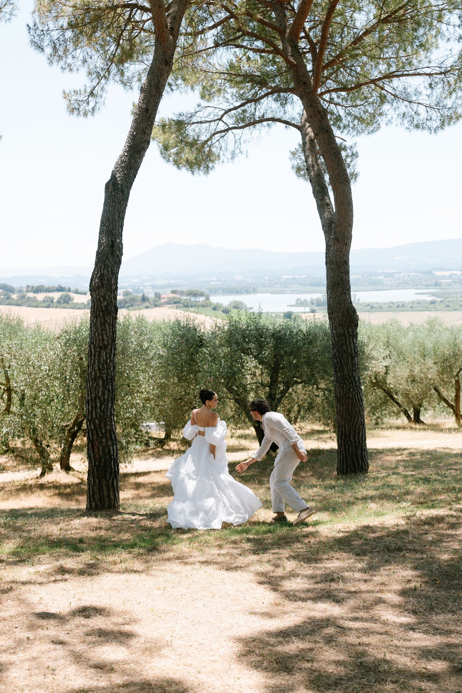 Wedding celebration taking place in a scenic olive grove with mountains in the background.