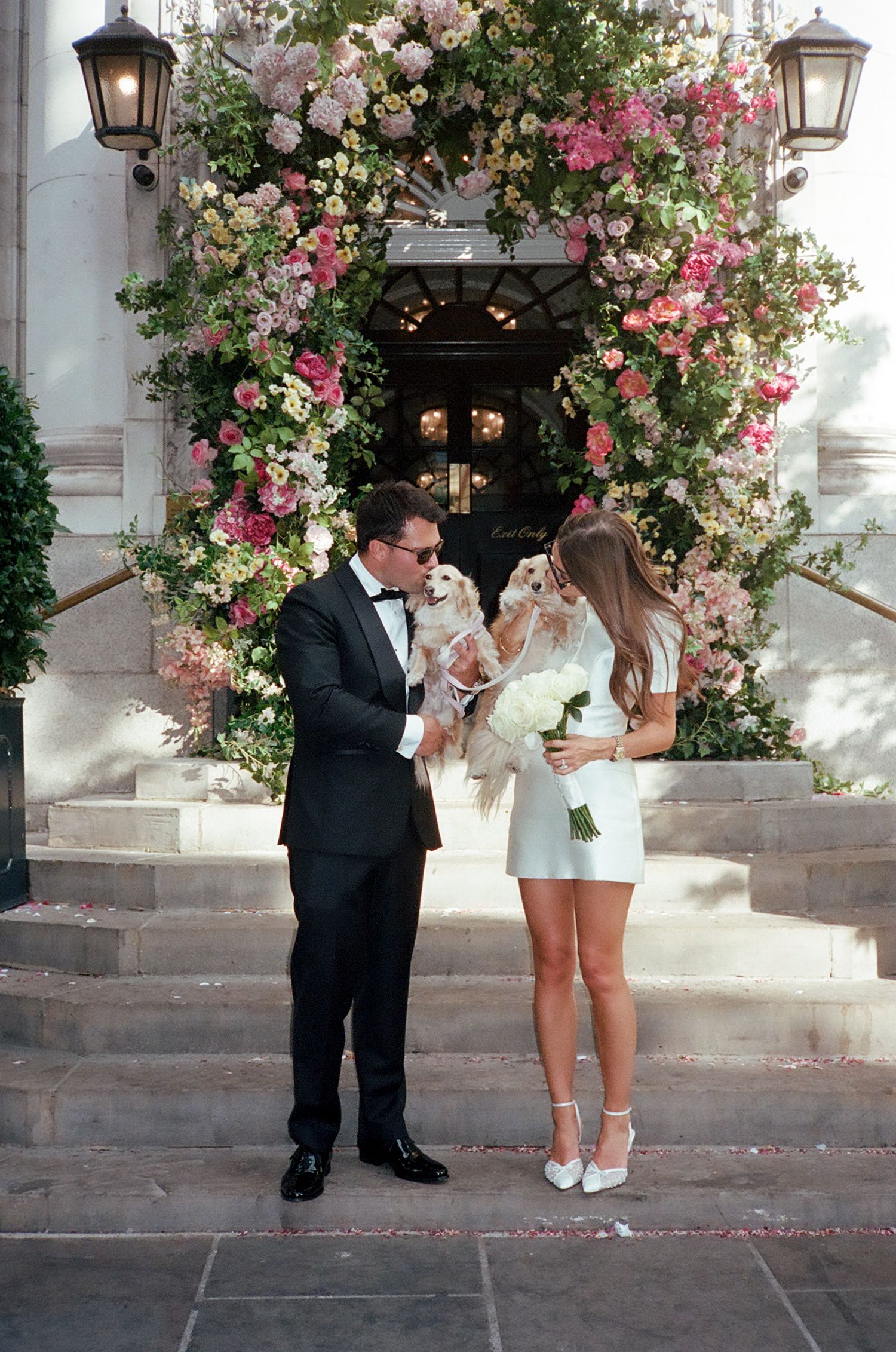 Couple in wedding attire holding dogs before floral arch entrance with pink blooms at elegant venue.