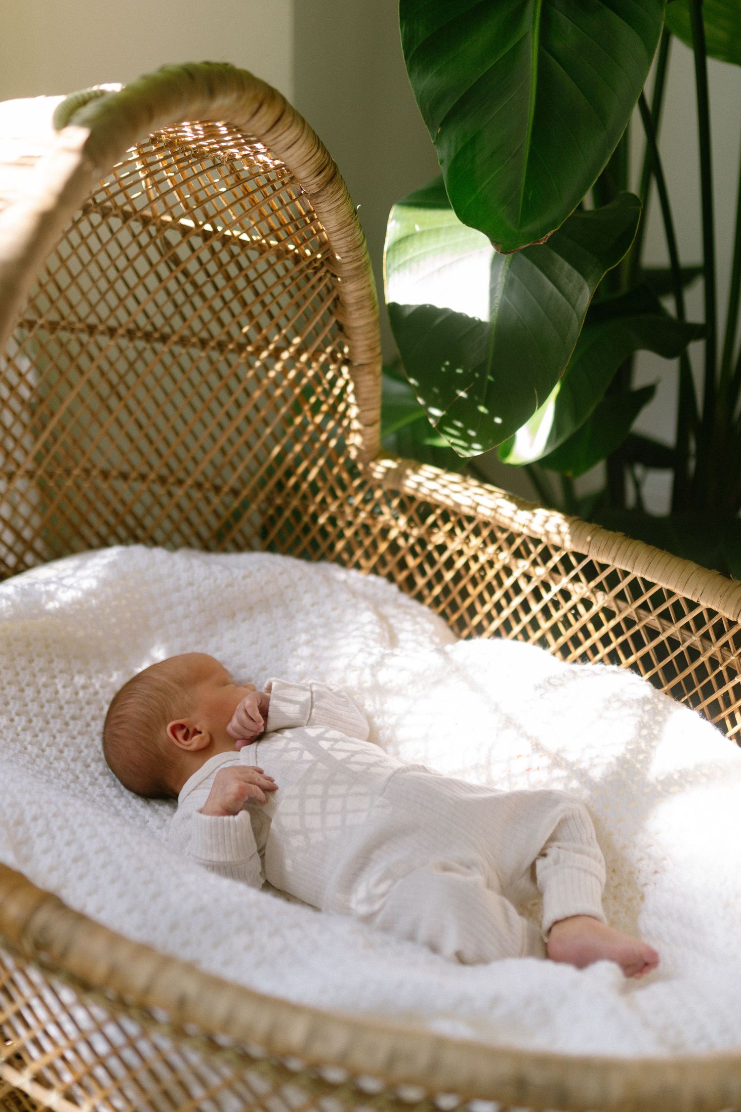 Sleeping infant in white clothing resting on a wicker chair with natural light streaming in.