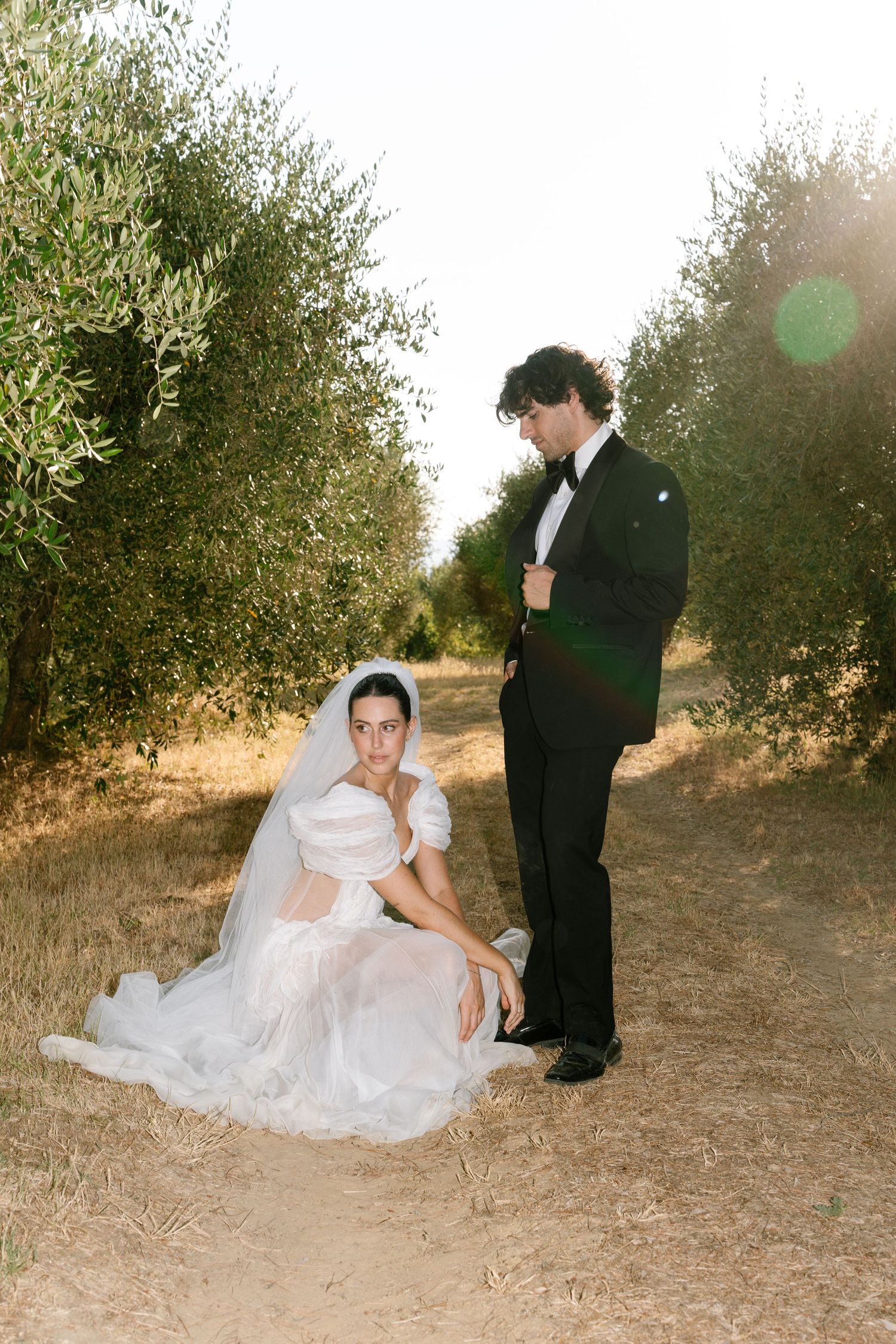 Romantic wedding photo sequence in an olive grove with sunlight filtering through the trees.