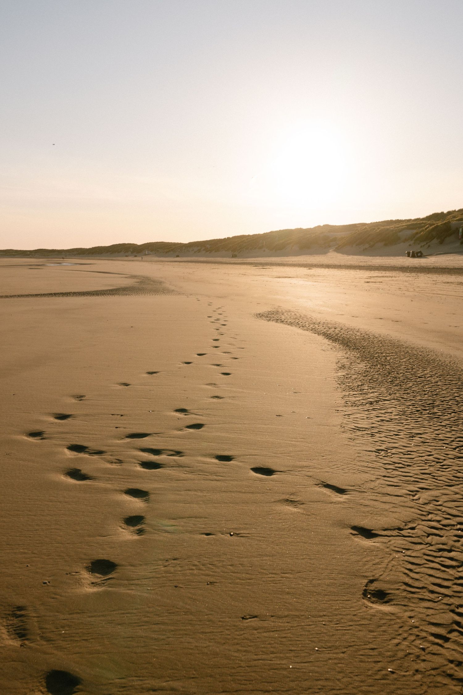 Footprints trailing along a golden sandy beach at sunset.