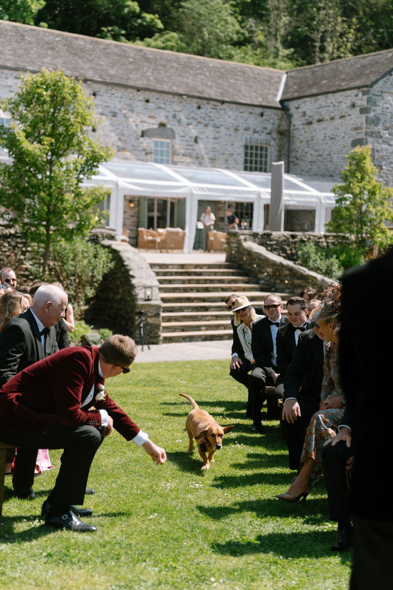 Wedding guests playfully toss a small dog in the air on a sunny lawn outside a stone building.