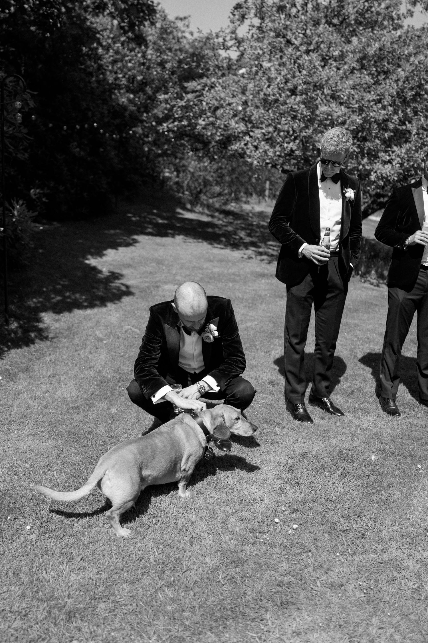Wedding guest in formal attire pets a dog on the lawn during an outdoor event.
