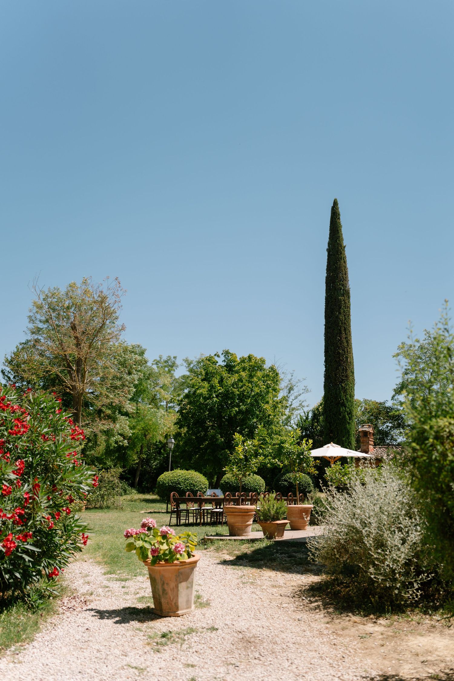 Mediterranean garden path with potted plants, cypress trees, and red flowers under bright blue sky.