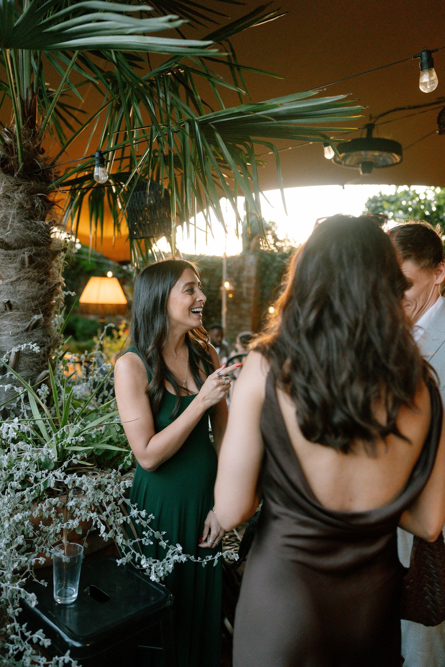 Evening garden party under palm fronds with ambient lighting.