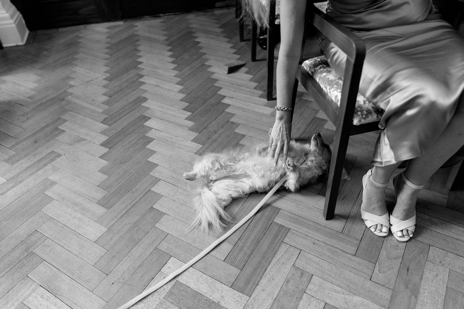 Small fluffy dog lies on herringbone floor beside seated woman in gold dress, black and white.
