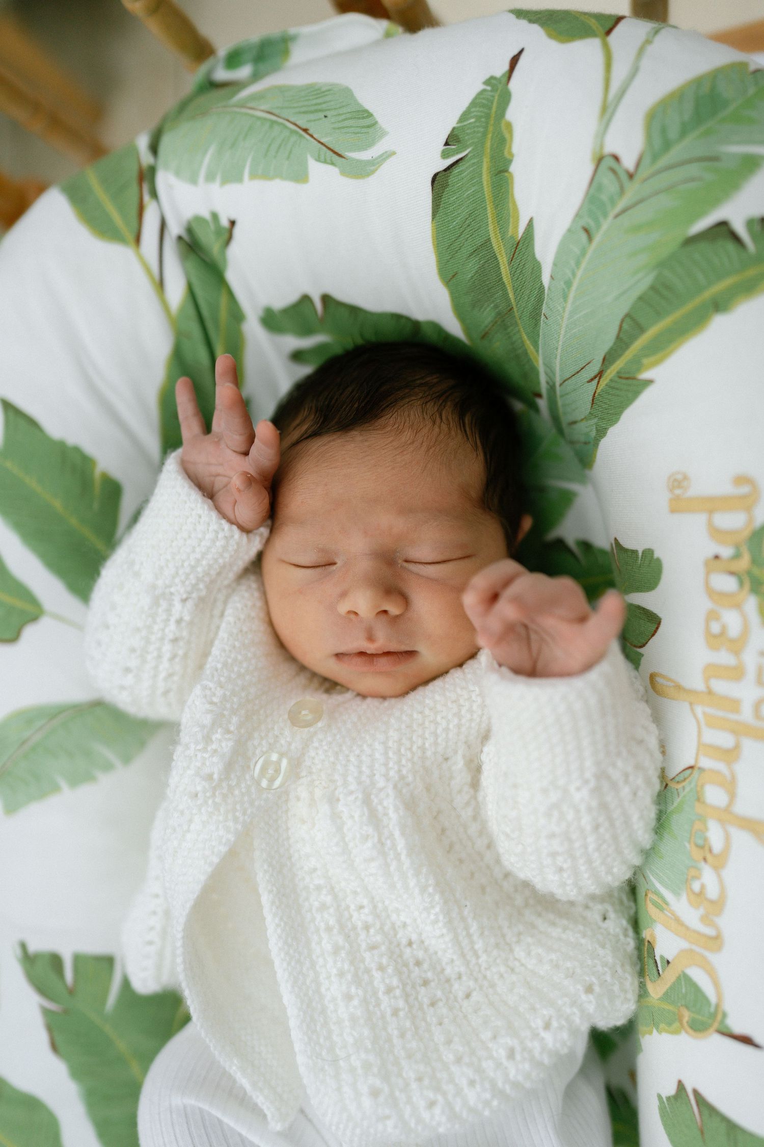 Sleeping newborn wrapped in white knit blanket with tropical leaf decor.