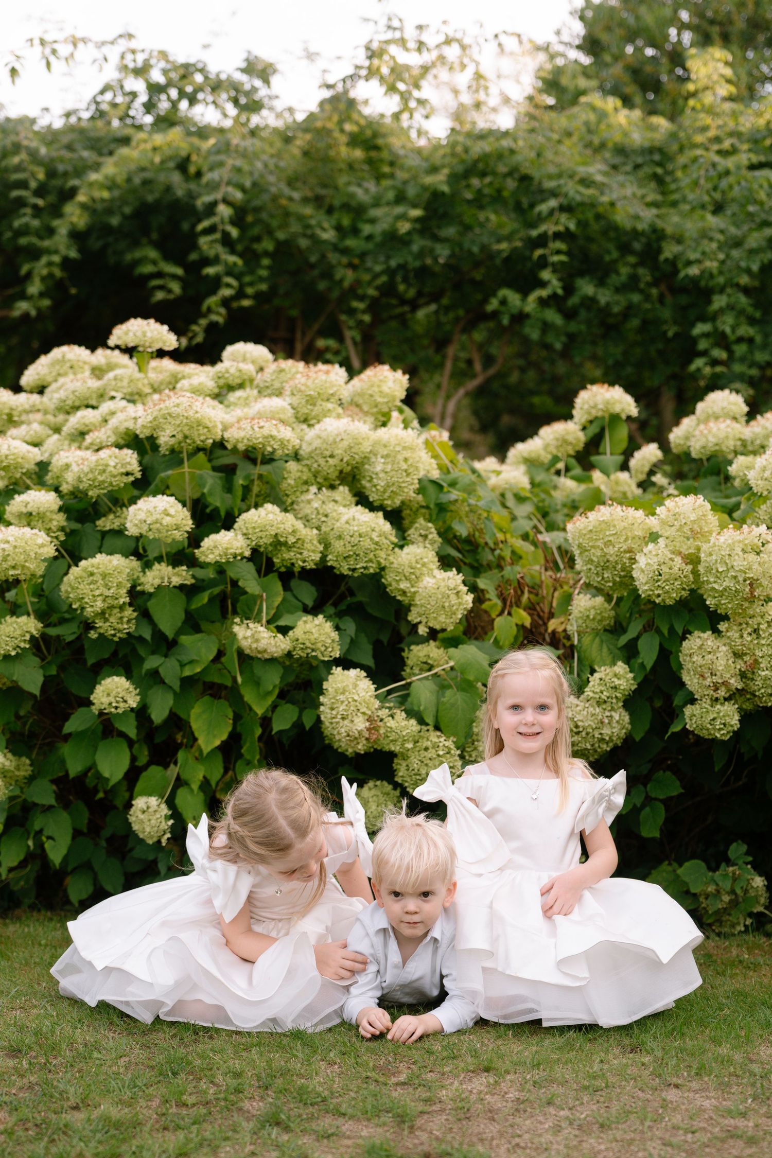 White-dressed figures sitting among blooming hydrangea bushes in garden.