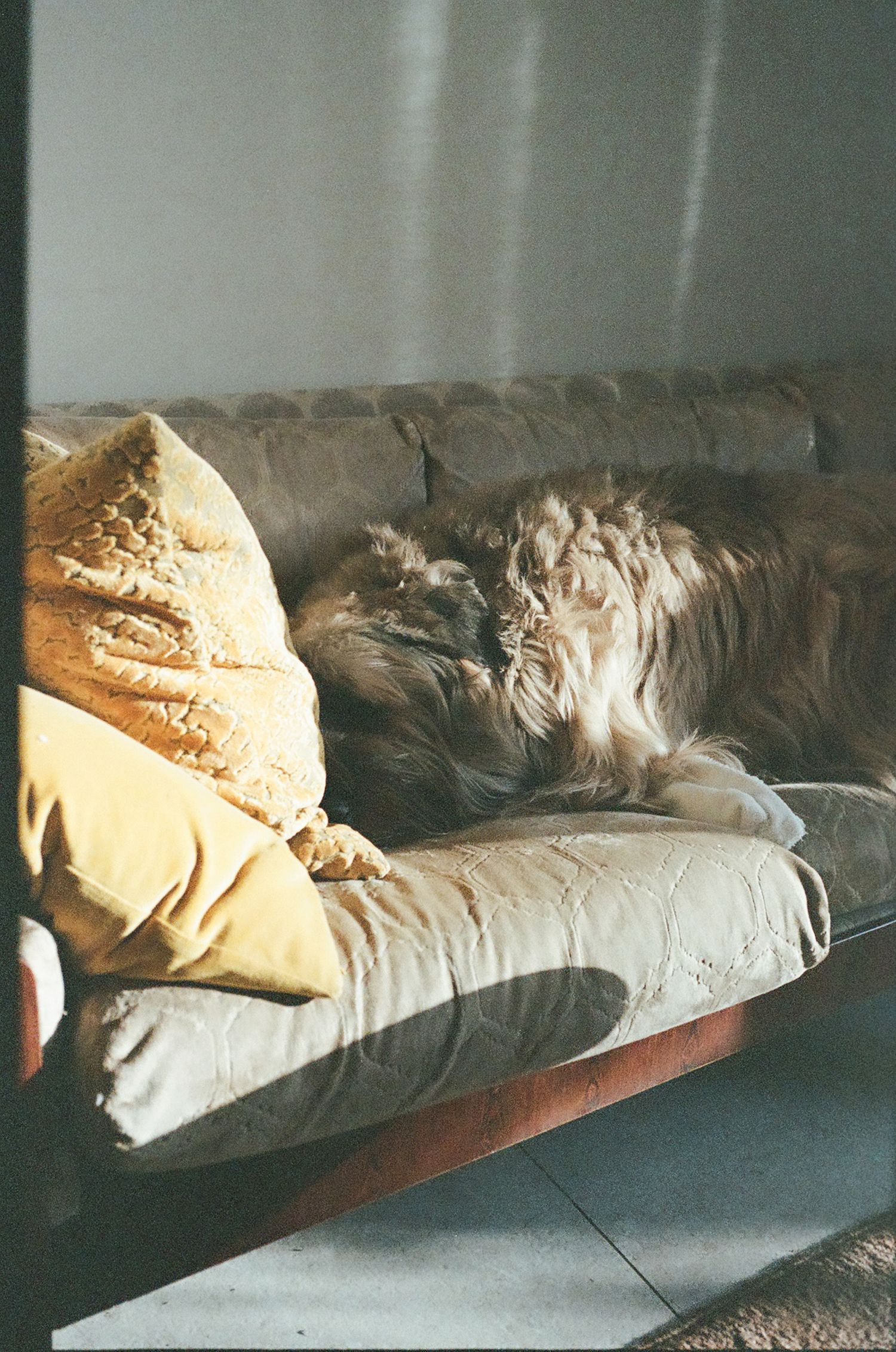 A row of rumpled beige pillows and bedding on what appears to be a couch or daybed.