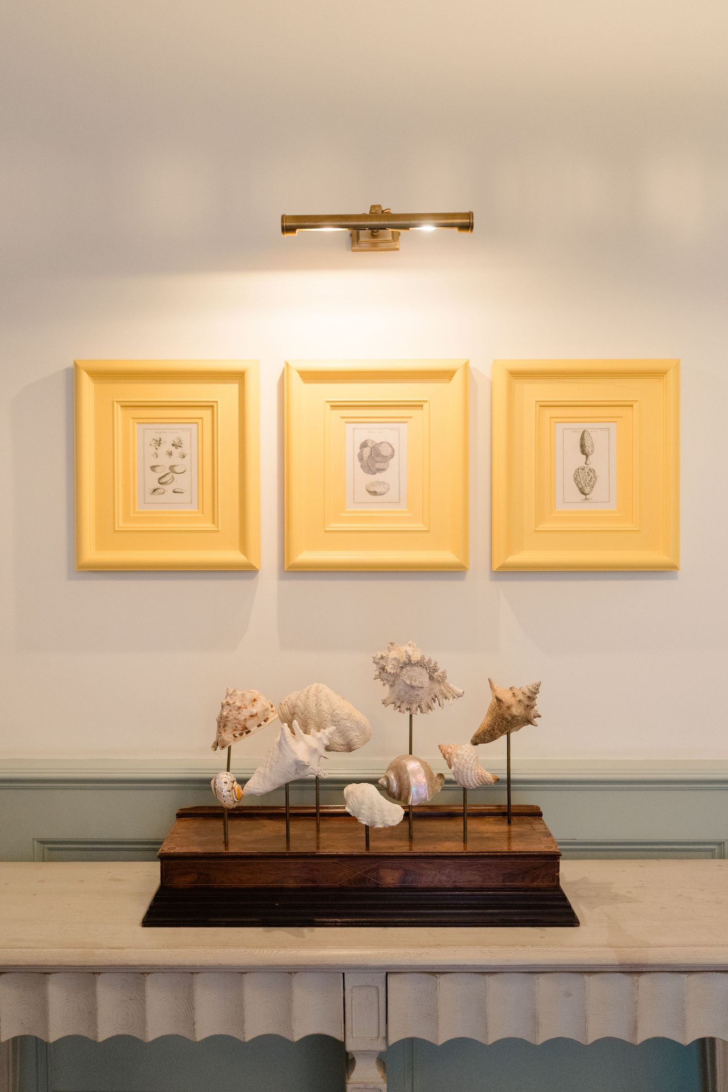 Three yellow-framed botanical prints hang above a wooden console displaying decorative seashells on stands, lit by a brass picture light.