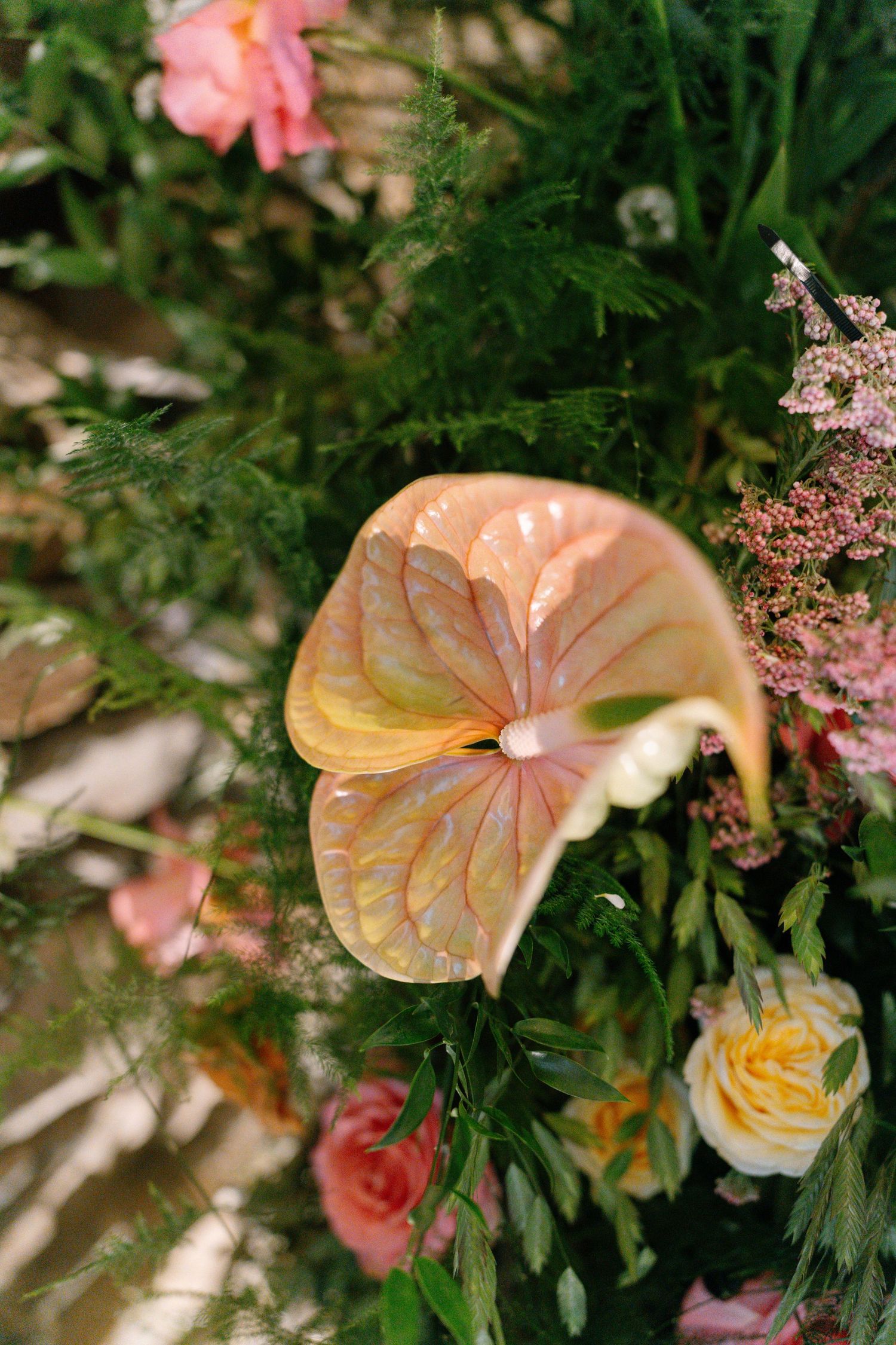 Peach-colored anthurium flowers and greenery in an artistic floral arrangement.
