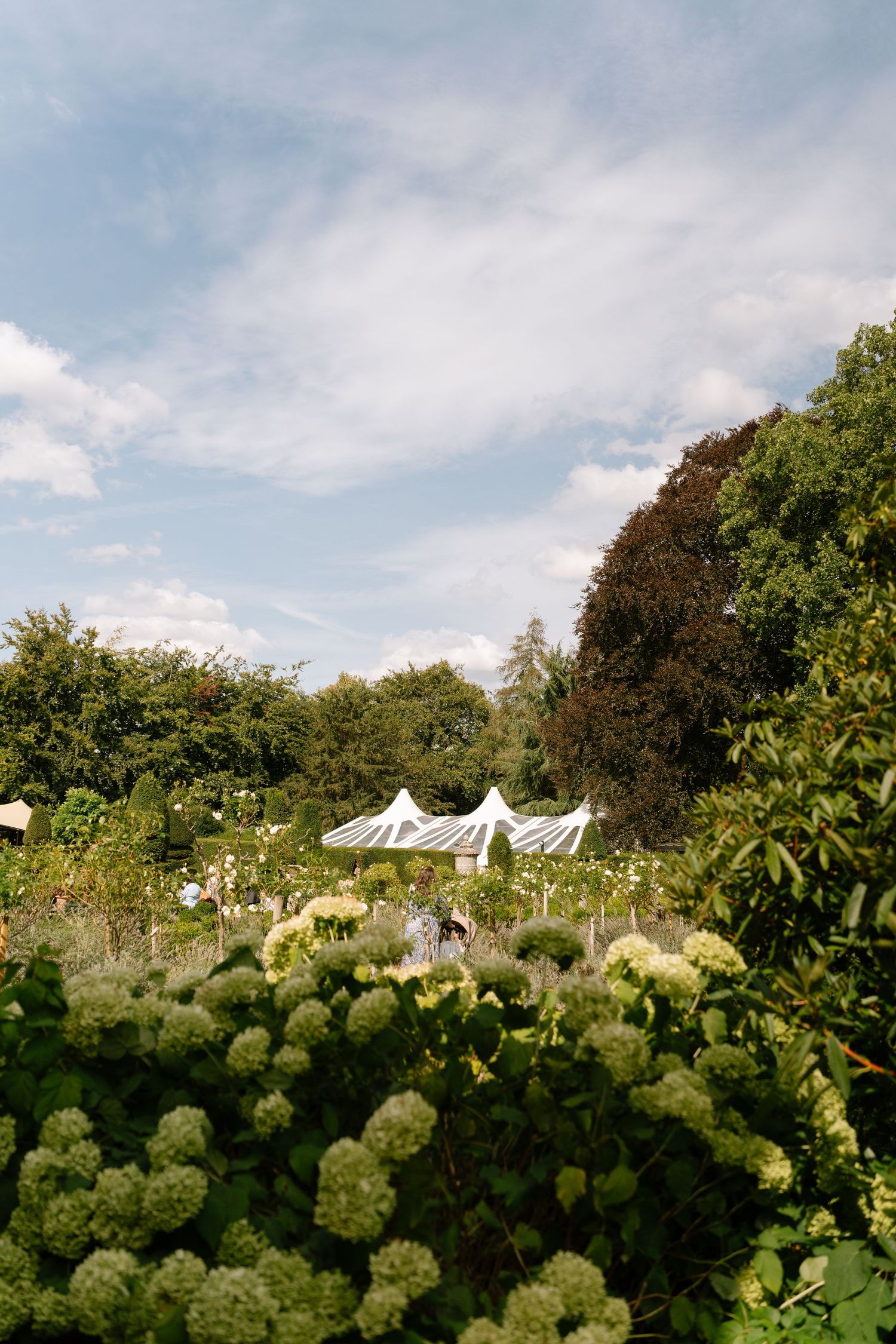 White wedding tent canopies set up in a lush garden setting with trees and greenery on a sunny day.