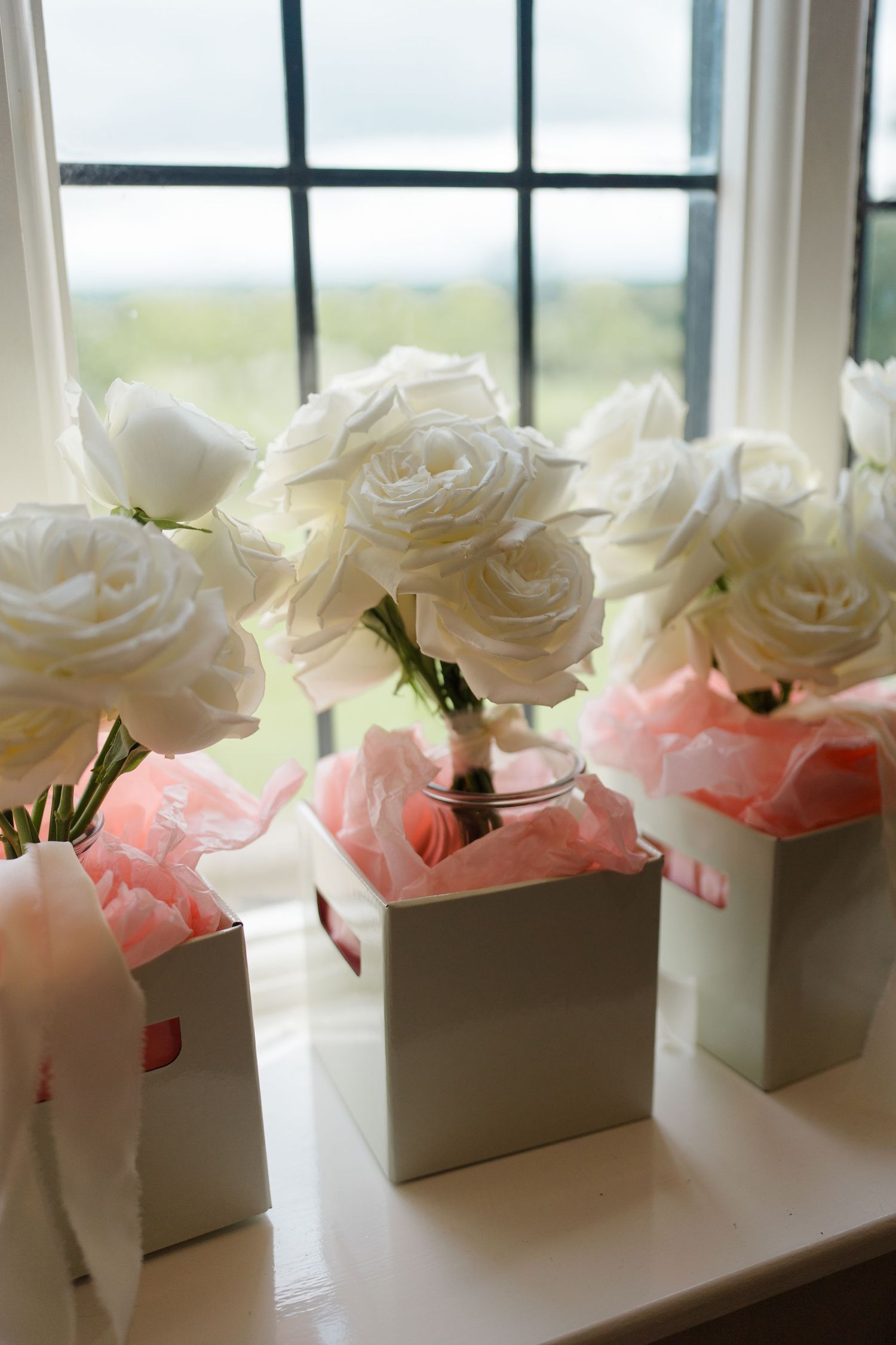 Three white roses in grey vases with pink tissue paper arranged on windowsill.