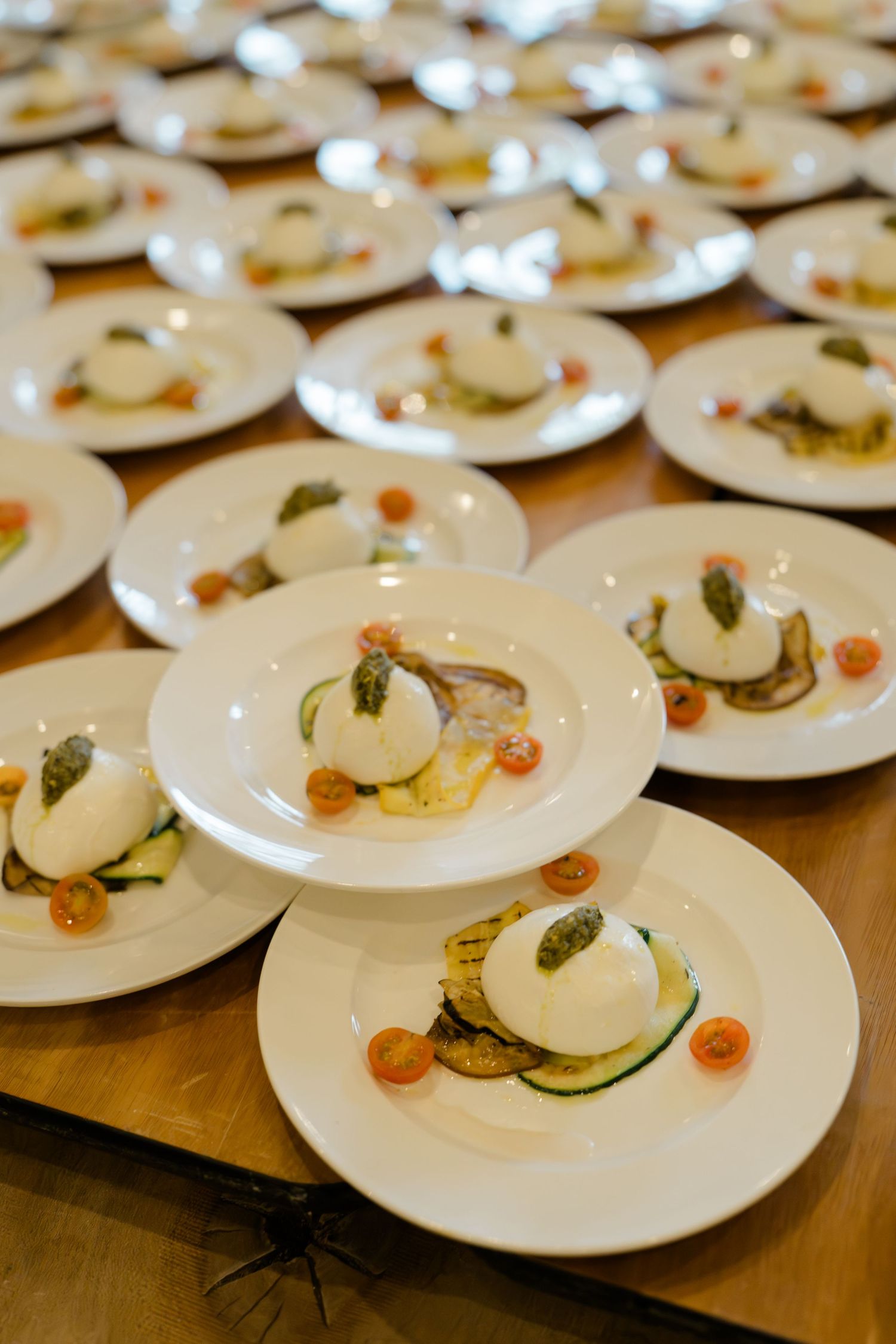 Rows of elegant plated starters with burrata, grilled zucchini, and cherry tomatoes on white plates.