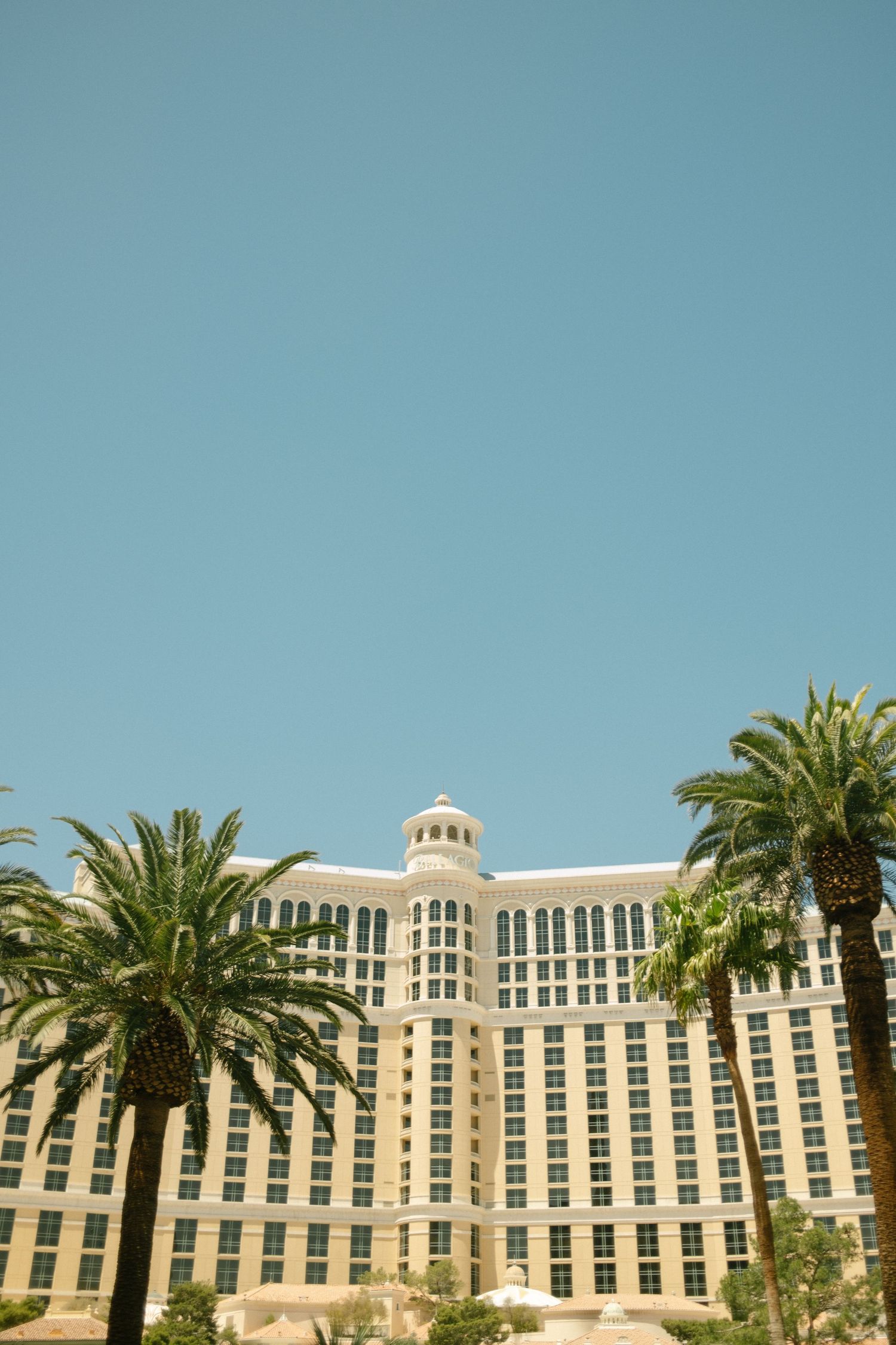 Luxurious hotel exterior with palm trees lining the front of a white resort building in Las Vegas.