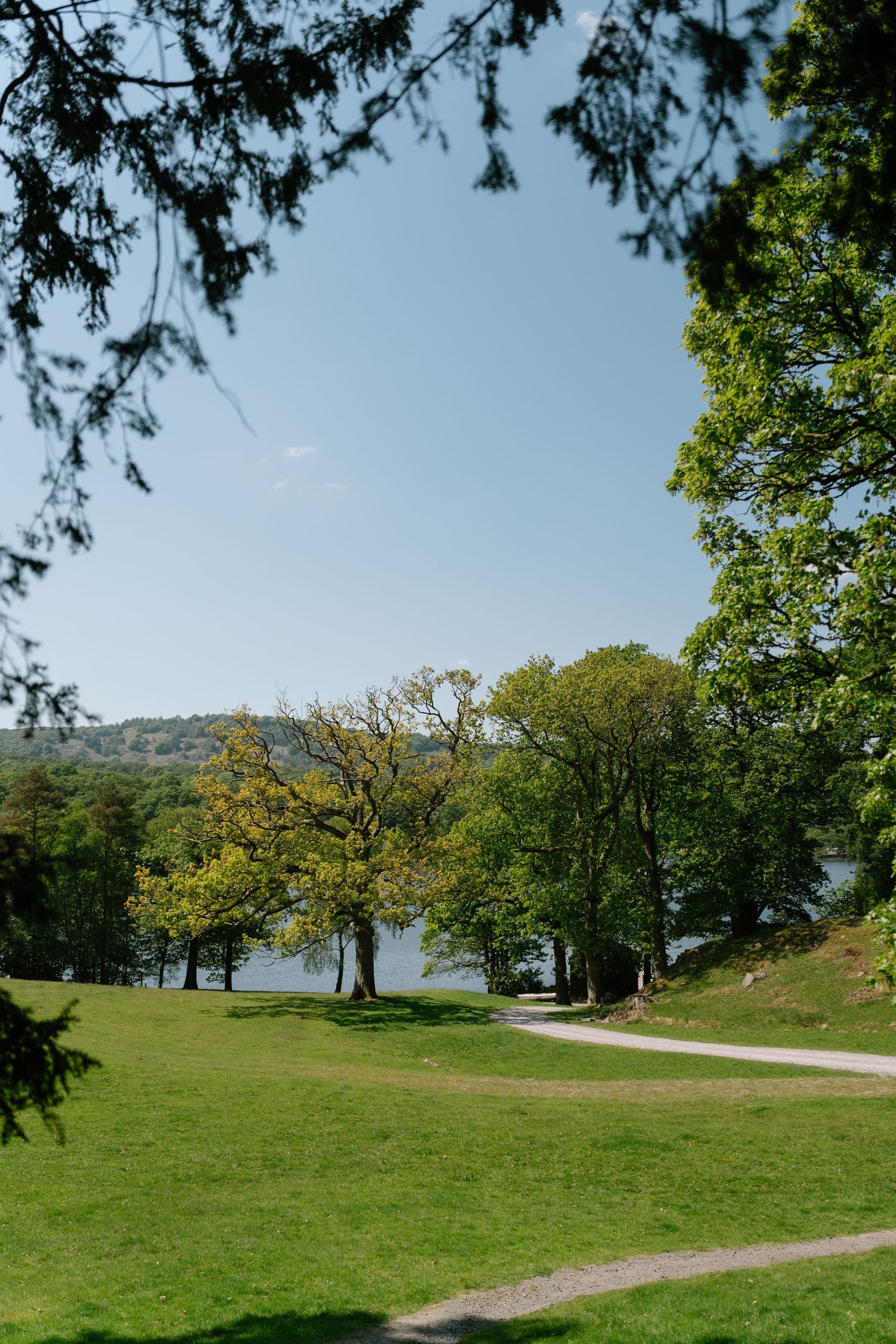 Scenic landscape view of a grassy hillside path leading to trees with water in the distance.