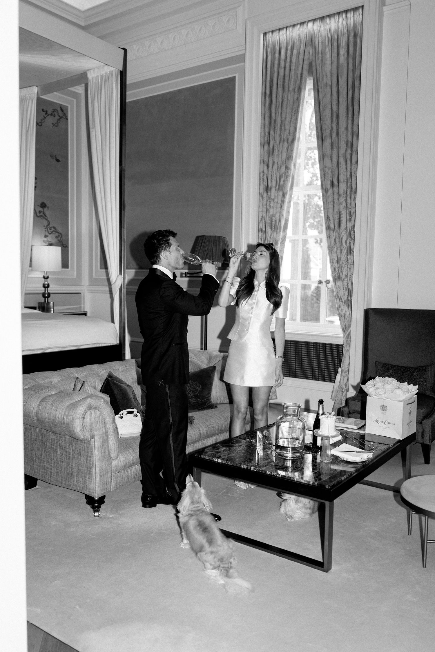 Newlyweds toasting champagne in luxury hotel suite with their dog nearby.