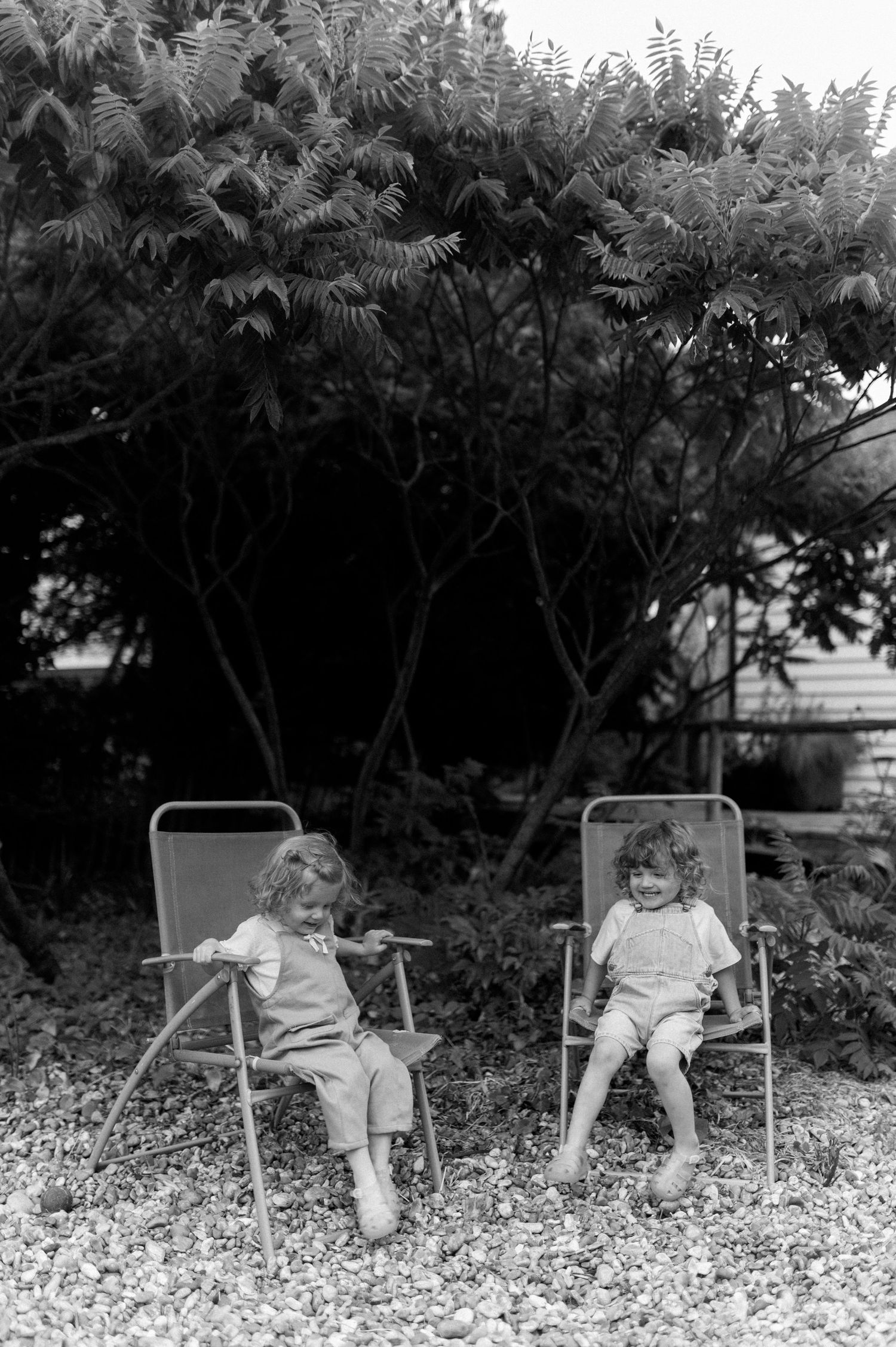 Black and white photo of children sitting in chairs against a backdrop of leafy plants.