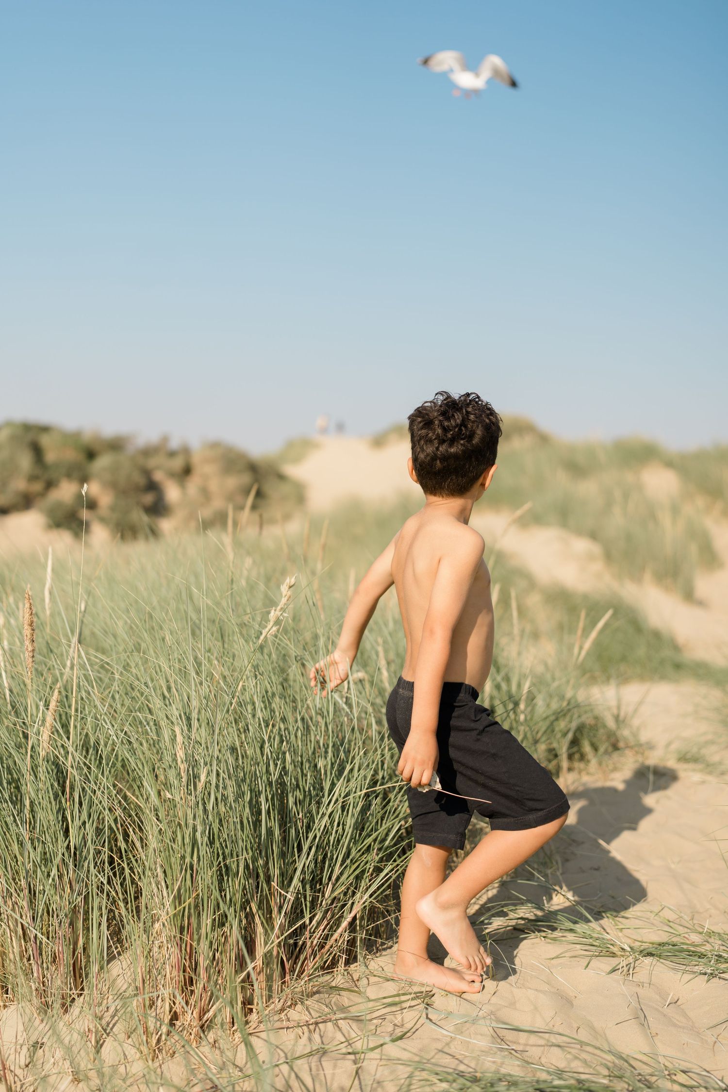 Person walking through sandy dunes with beach grass on a sunny day.