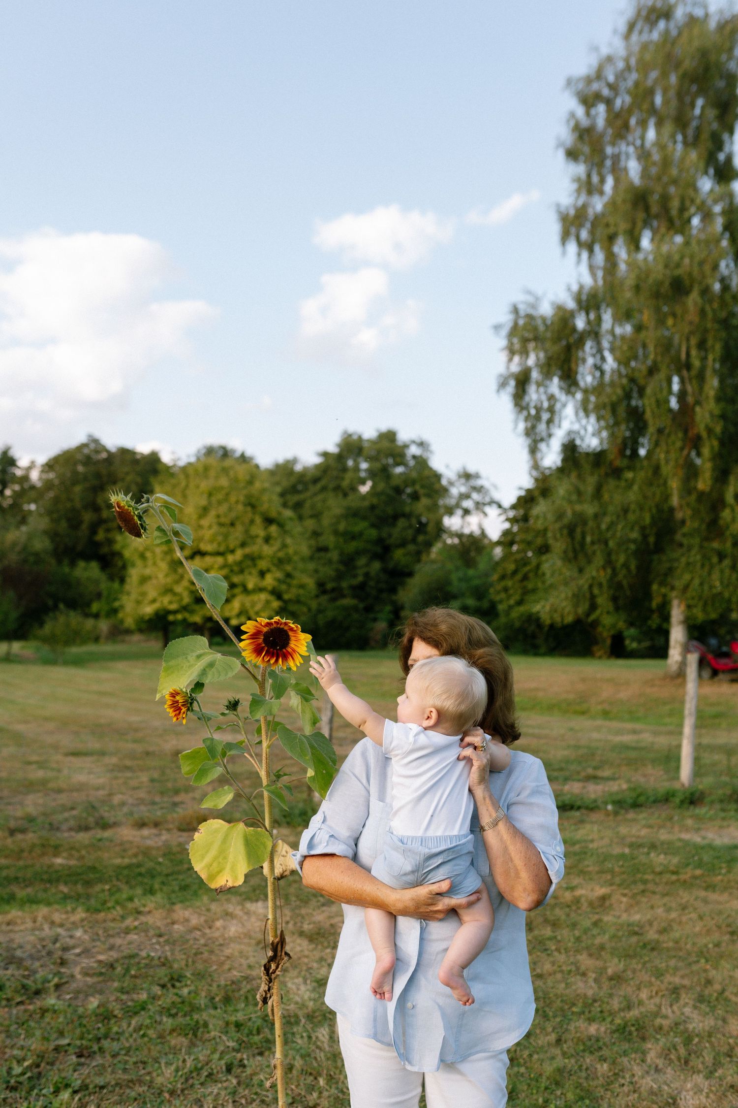 A playful moment in a sunny field with a tall sunflower as three figures interact in a grassy outdoor setting.