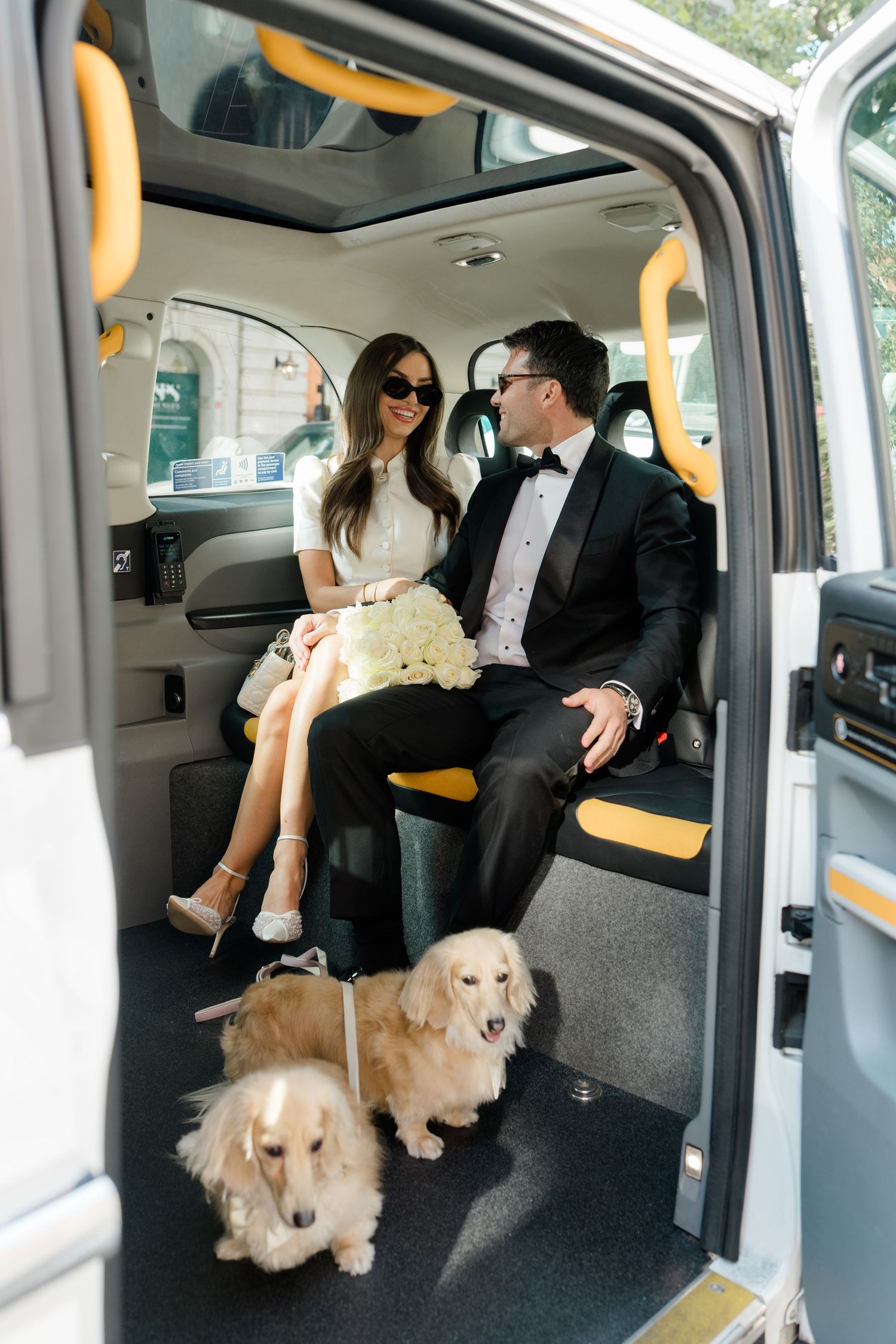 Bride and groom in wedding attire sitting in taxi with two golden cocker spaniel dogs at their feet.