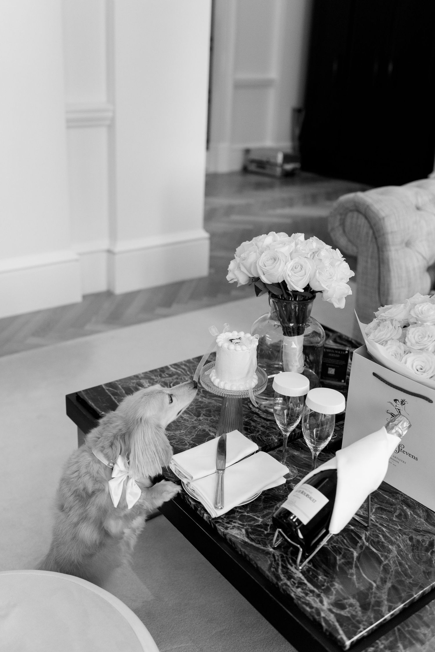 Black and white photo of a marble coffee table with roses, champagne, glasses, and a small dog in an elegant living room.