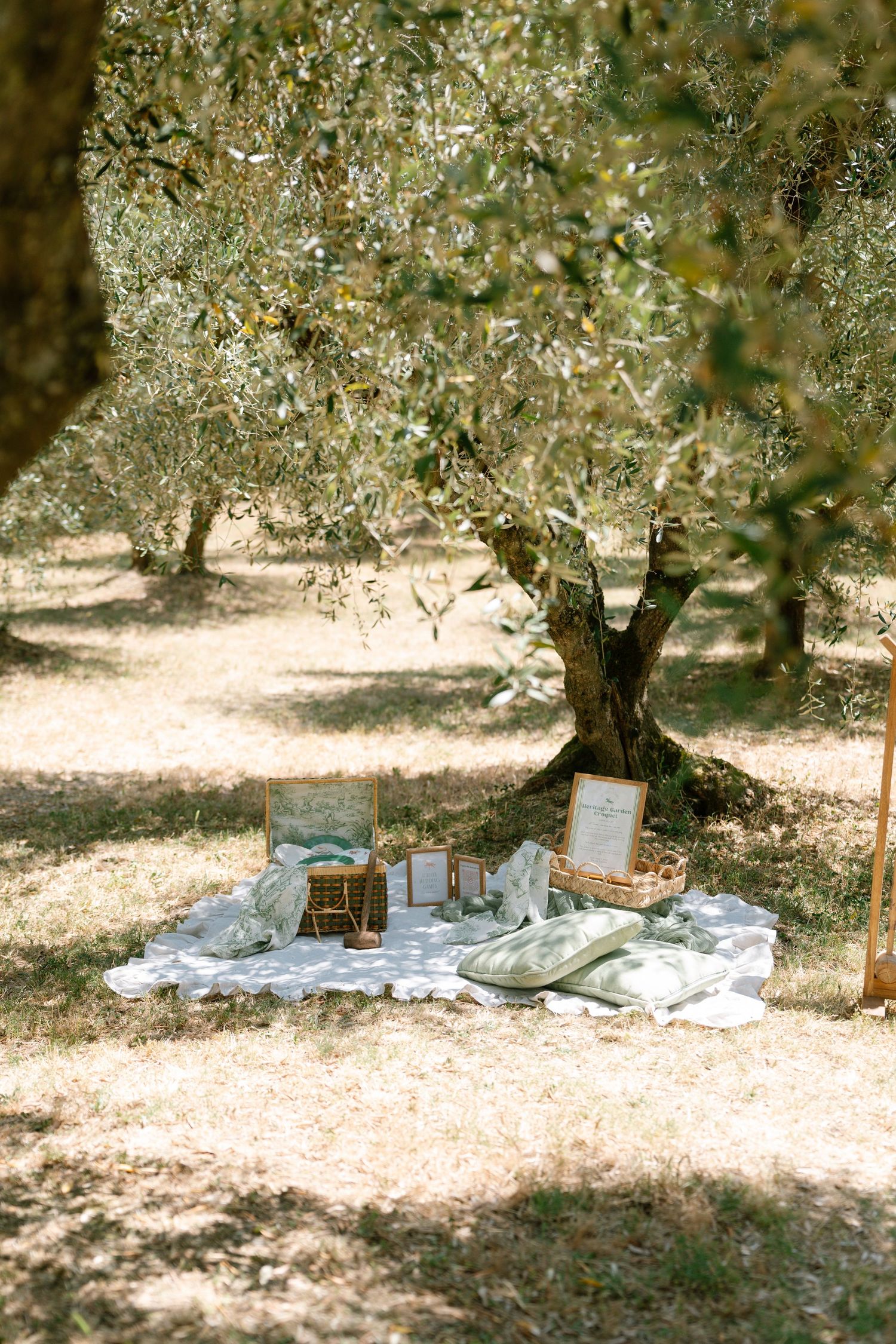 A peaceful picnic setup under olive trees with blankets and frames laid out on the ground.