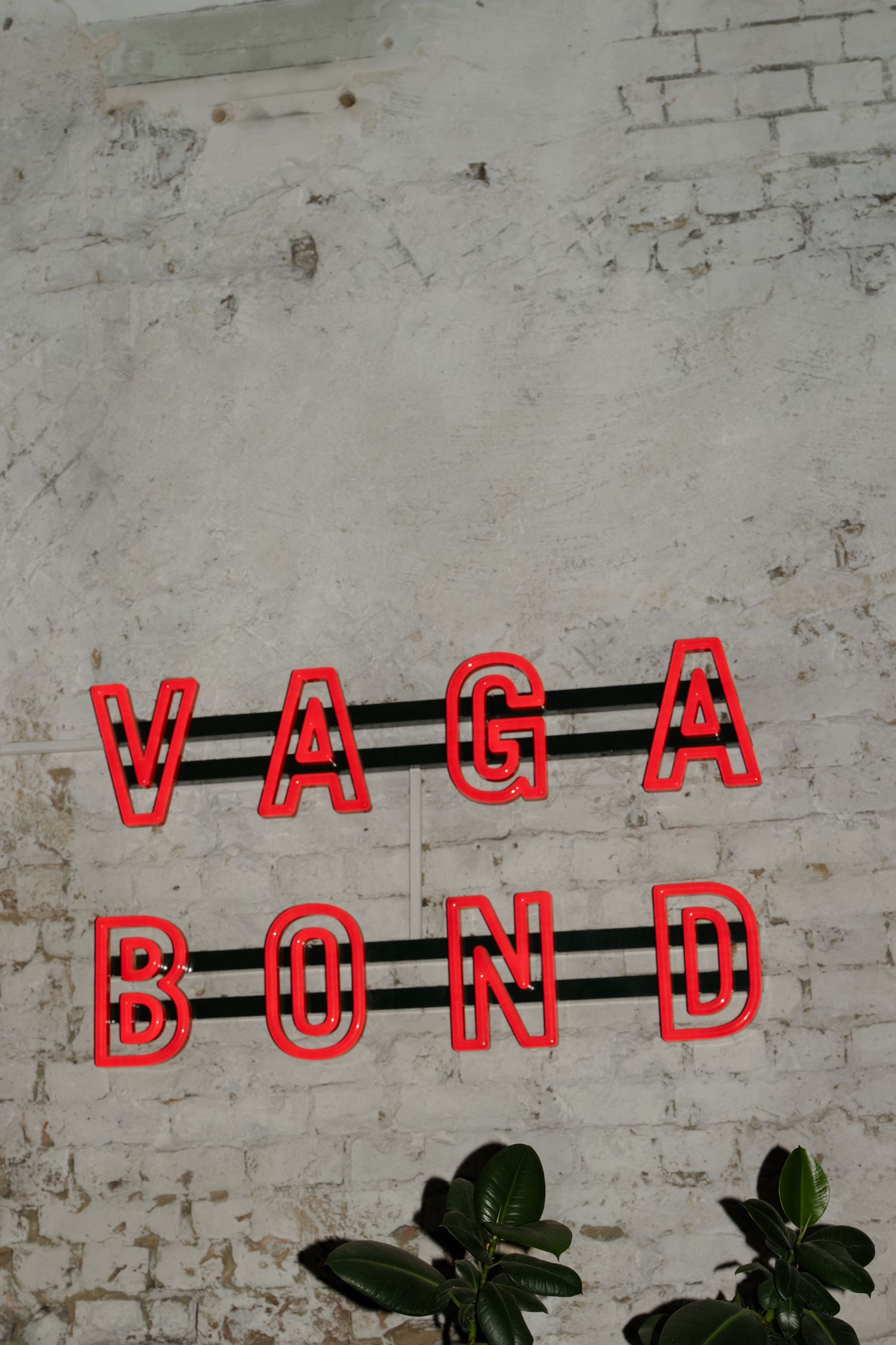 Red neon Vagabond sign mounted on white brick wall with green foliage below.