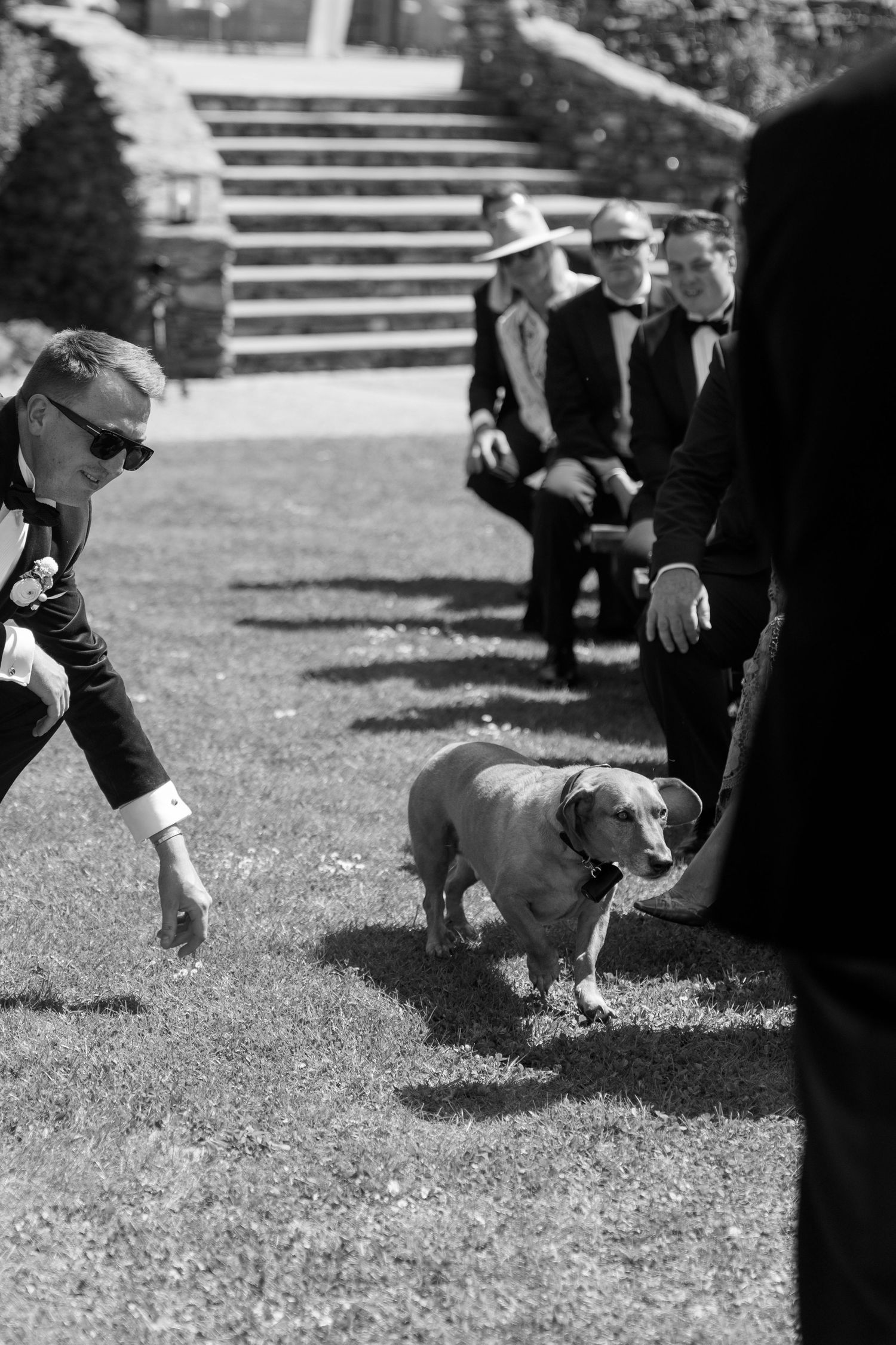Black and white photo of guests tossing a small dog at an outdoor wedding celebration.